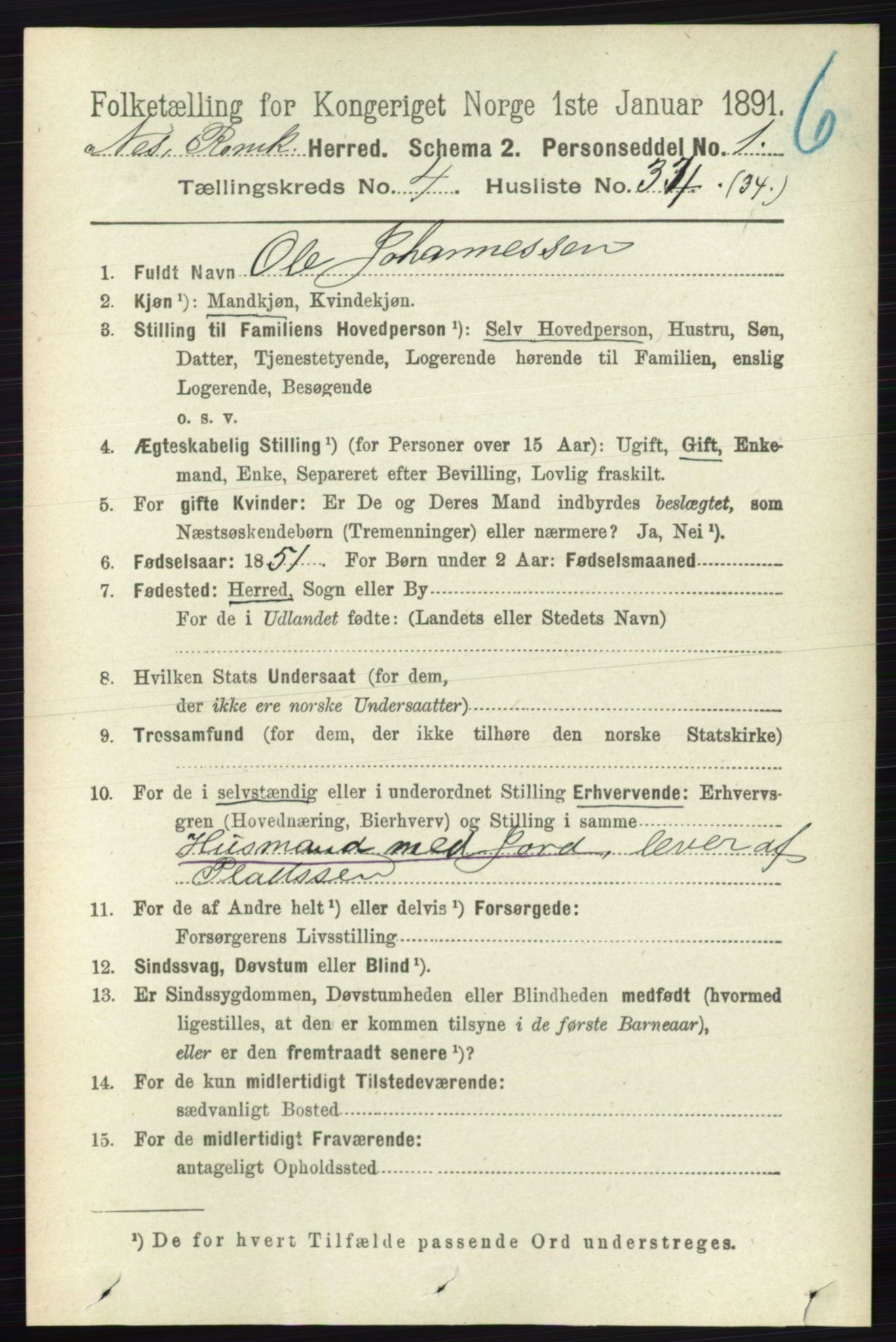 RA, 1891 census for 0236 Nes, 1891, p. 2447