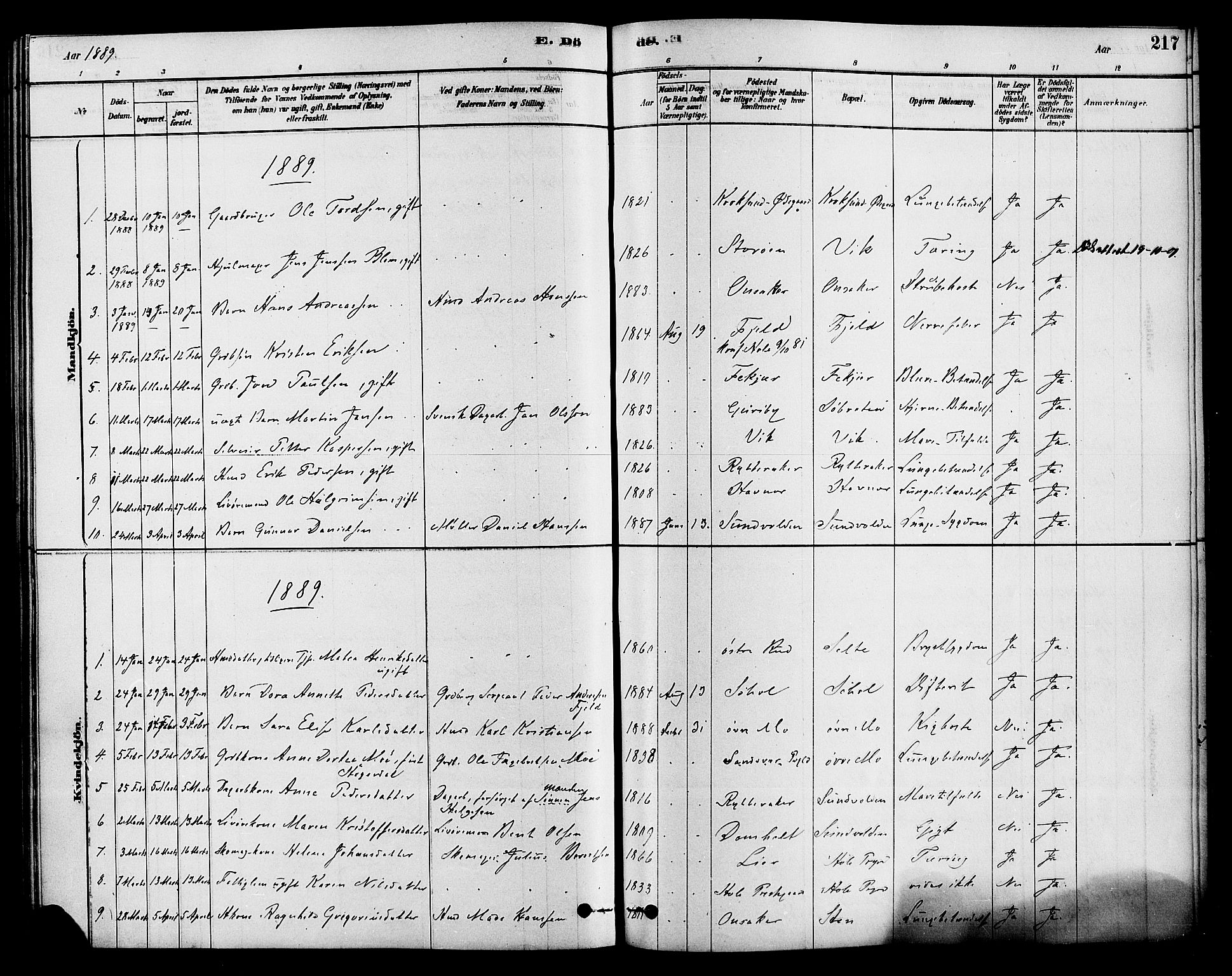 Hole kirkebøker, SAKO/A-228/F/Fa/L0008: Parish register (official) no. I 8, 1878-1891, p. 217