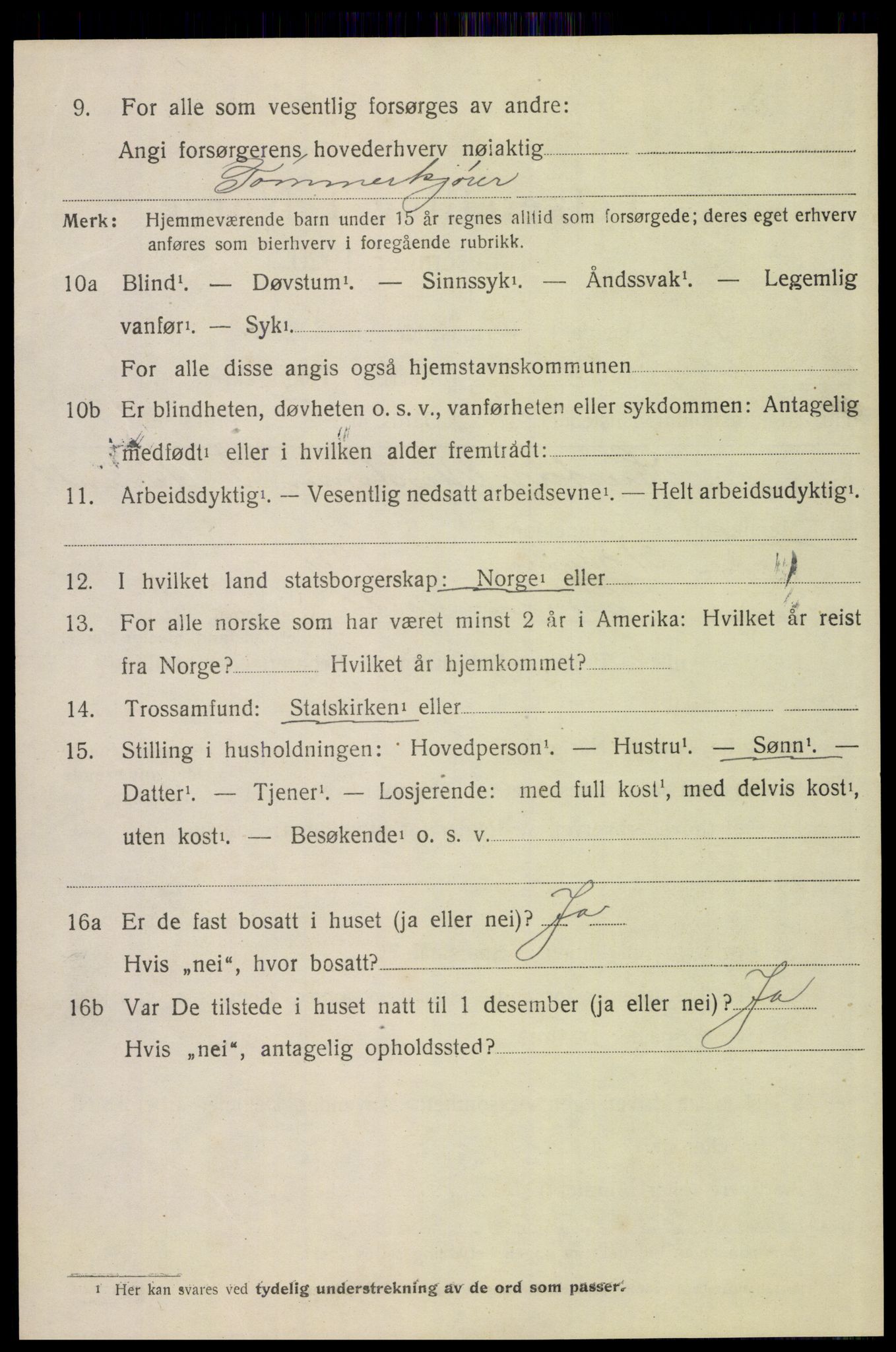 SAH, 1920 census for Trysil, 1920, p. 4278