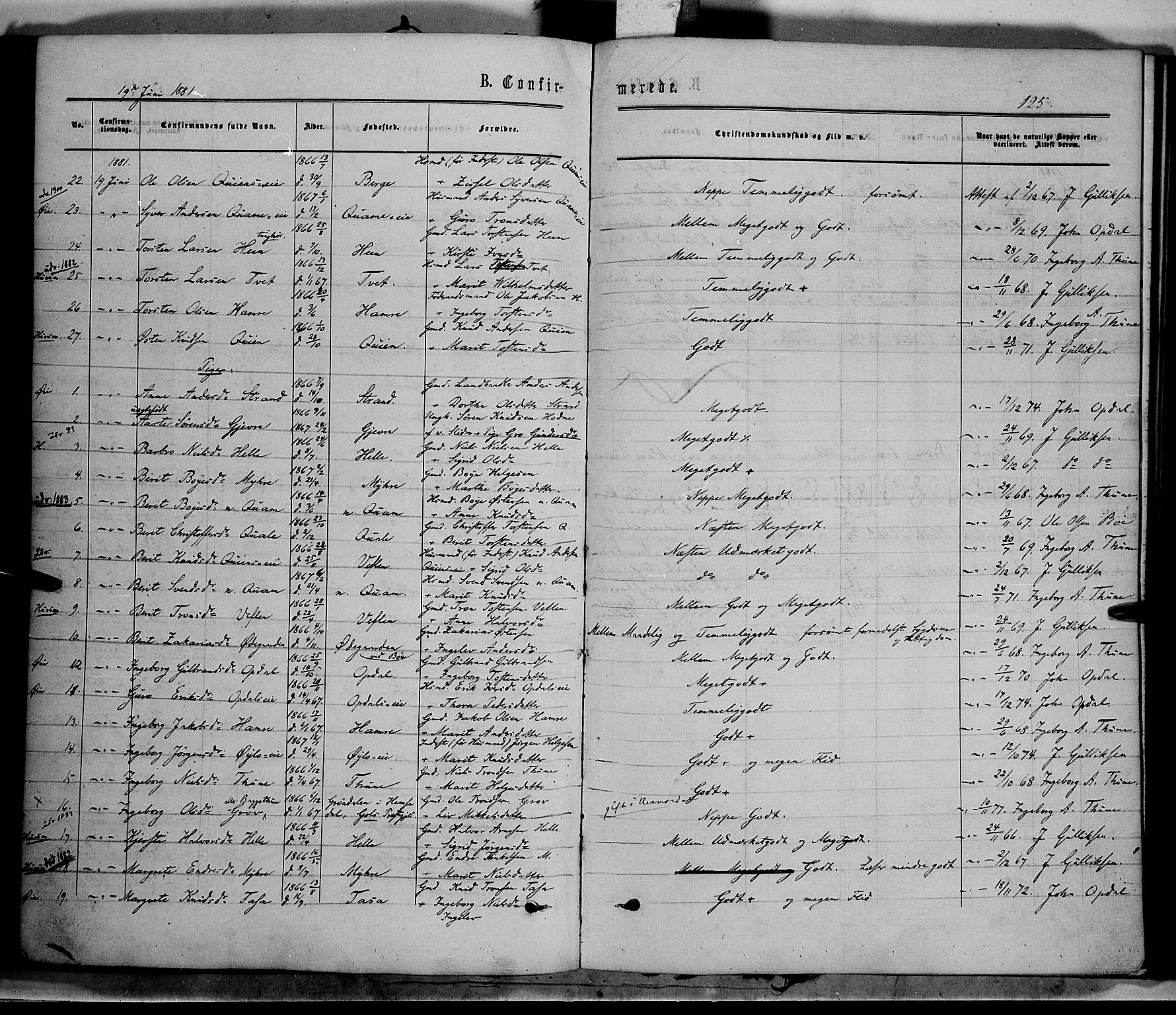 Vang prestekontor, Valdres, SAH/PREST-140/H/Ha/L0007: Parish register (official) no. 7, 1865-1881, p. 125