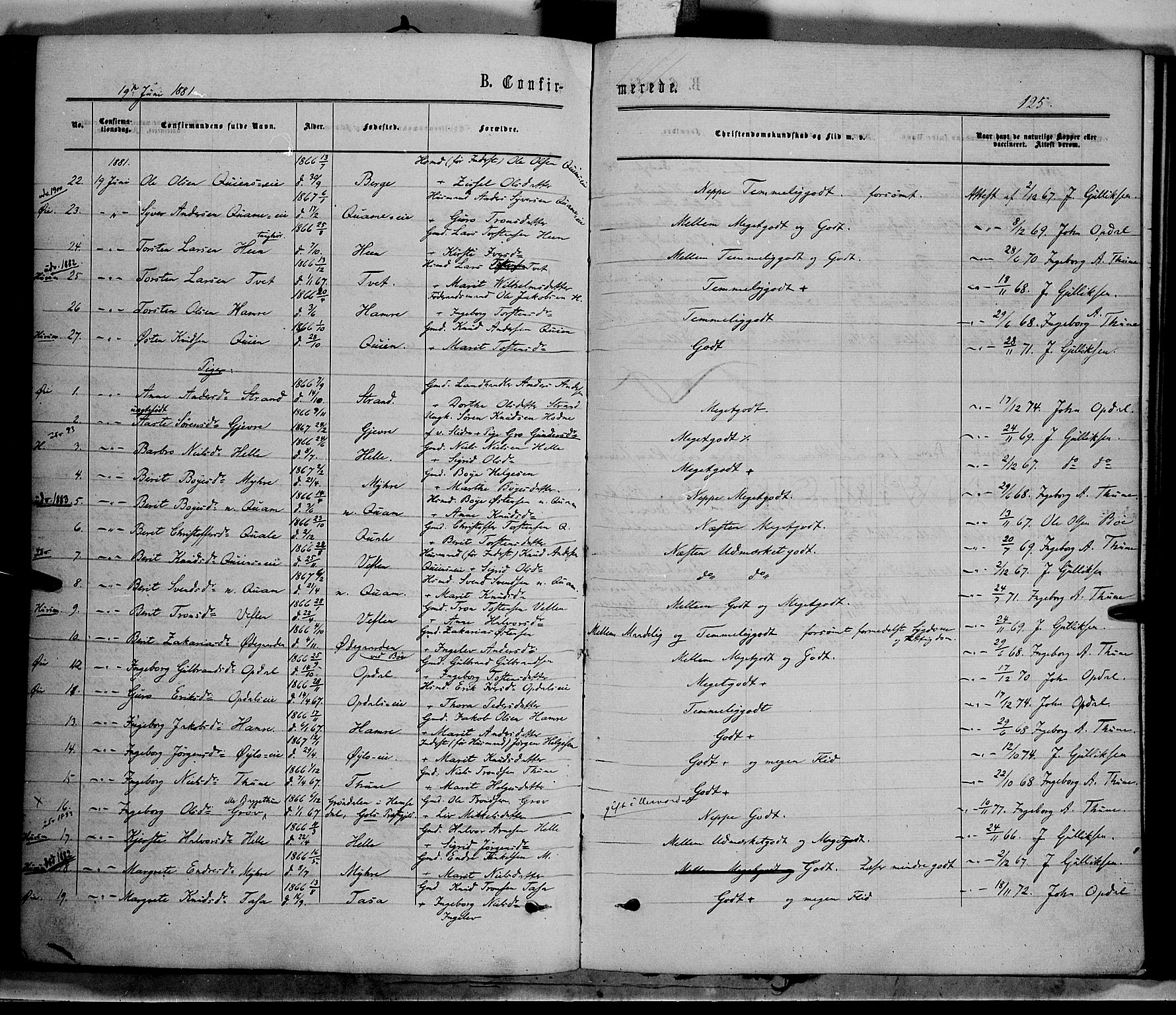 Vang prestekontor, Valdres, AV/SAH-PREST-140/H/Ha/L0007: Parish register (official) no. 7, 1865-1881, p. 125