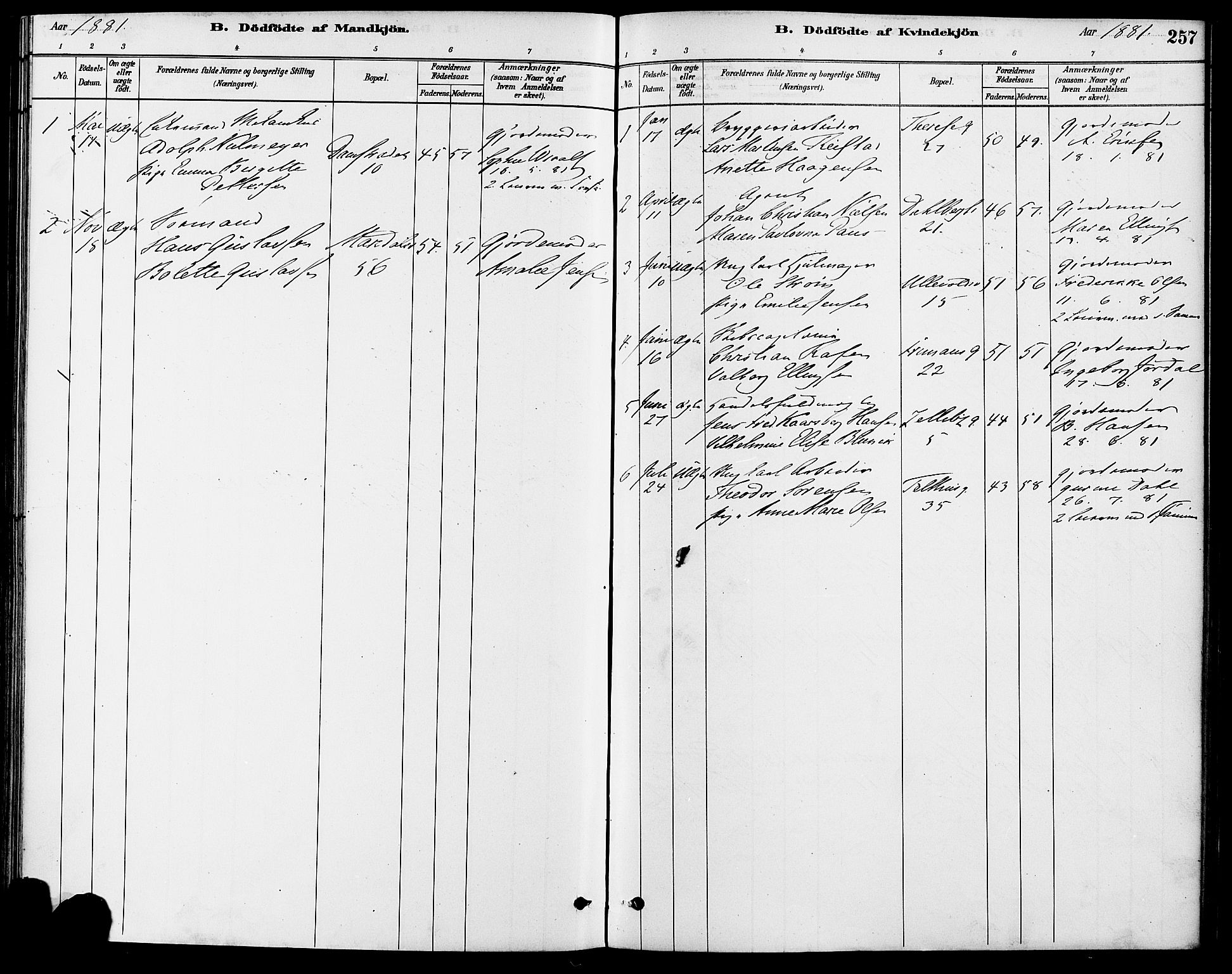 Gamle Aker prestekontor Kirkebøker, SAO/A-10617a/F/L0006: Parish register (official) no. 6, 1880-1887, p. 257