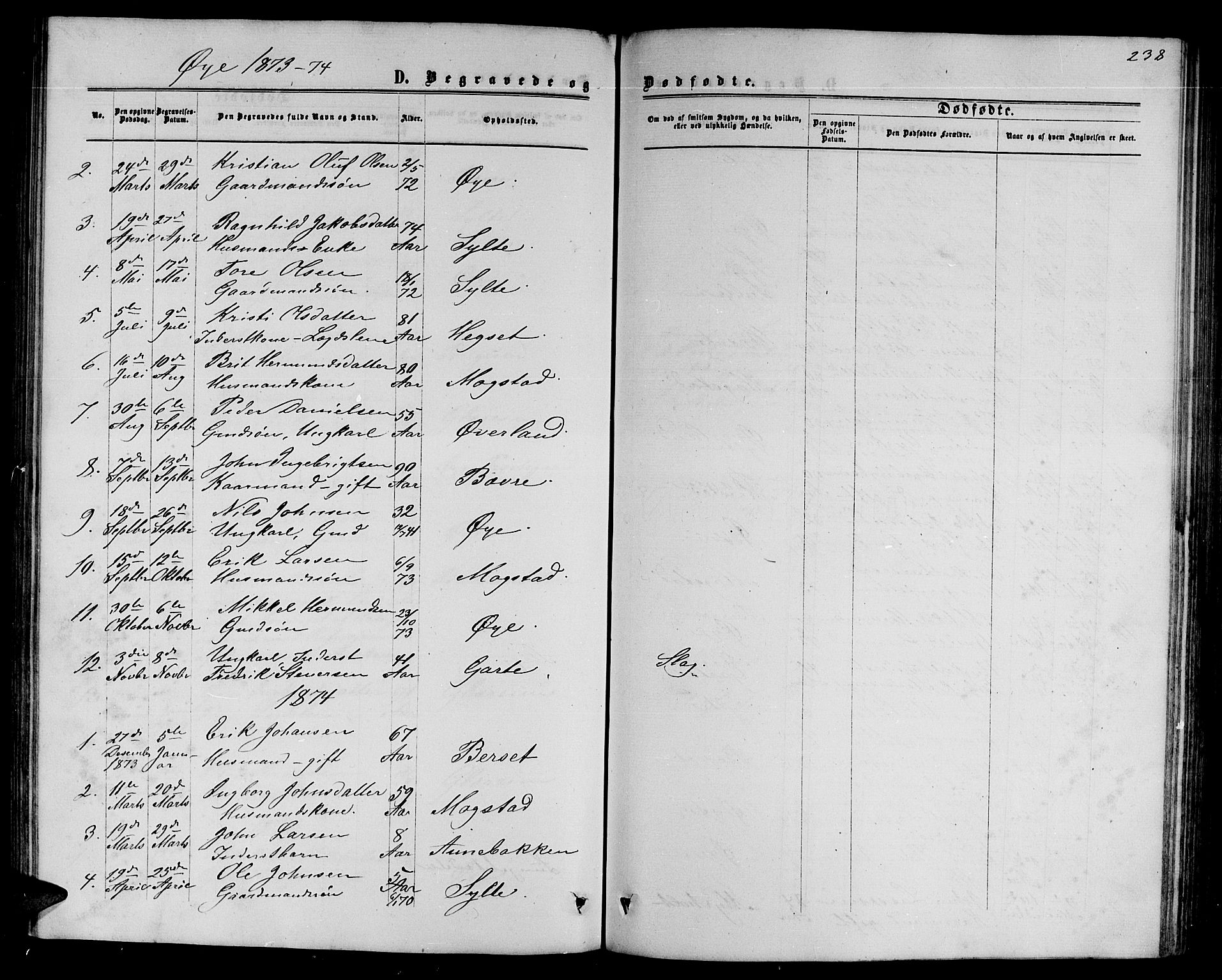 Ministerialprotokoller, klokkerbøker og fødselsregistre - Møre og Romsdal, AV/SAT-A-1454/595/L1051: Parish register (copy) no. 595C03, 1866-1891, p. 238