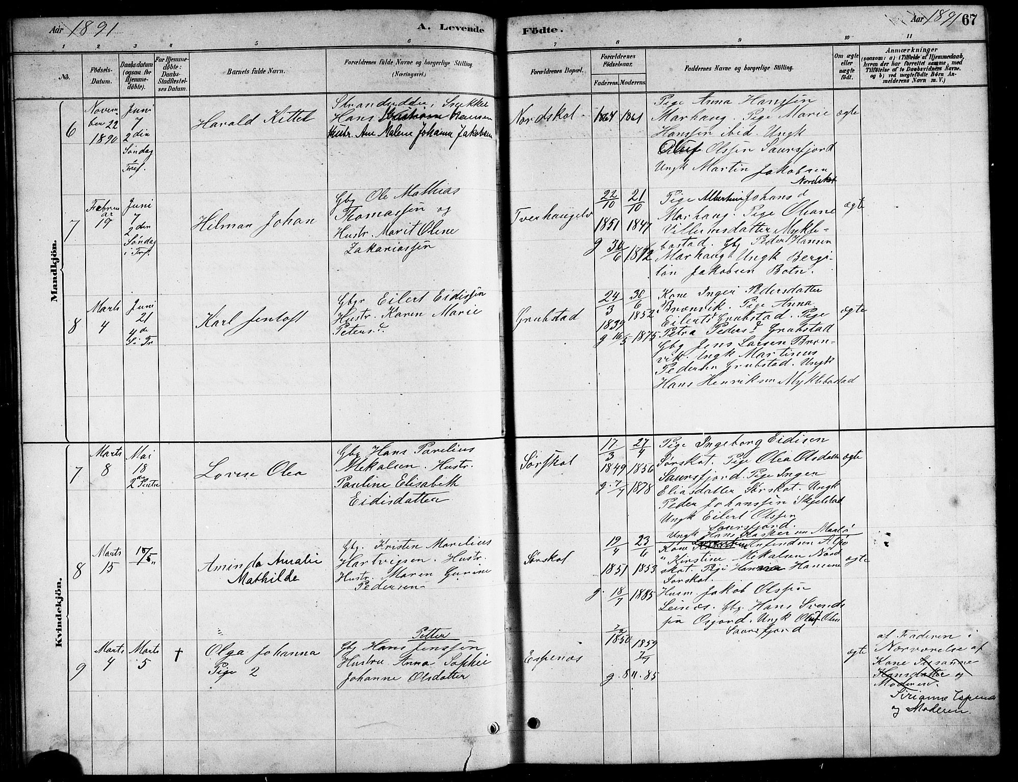 Ministerialprotokoller, klokkerbøker og fødselsregistre - Nordland, AV/SAT-A-1459/857/L0828: Parish register (copy) no. 857C03, 1879-1908, p. 67