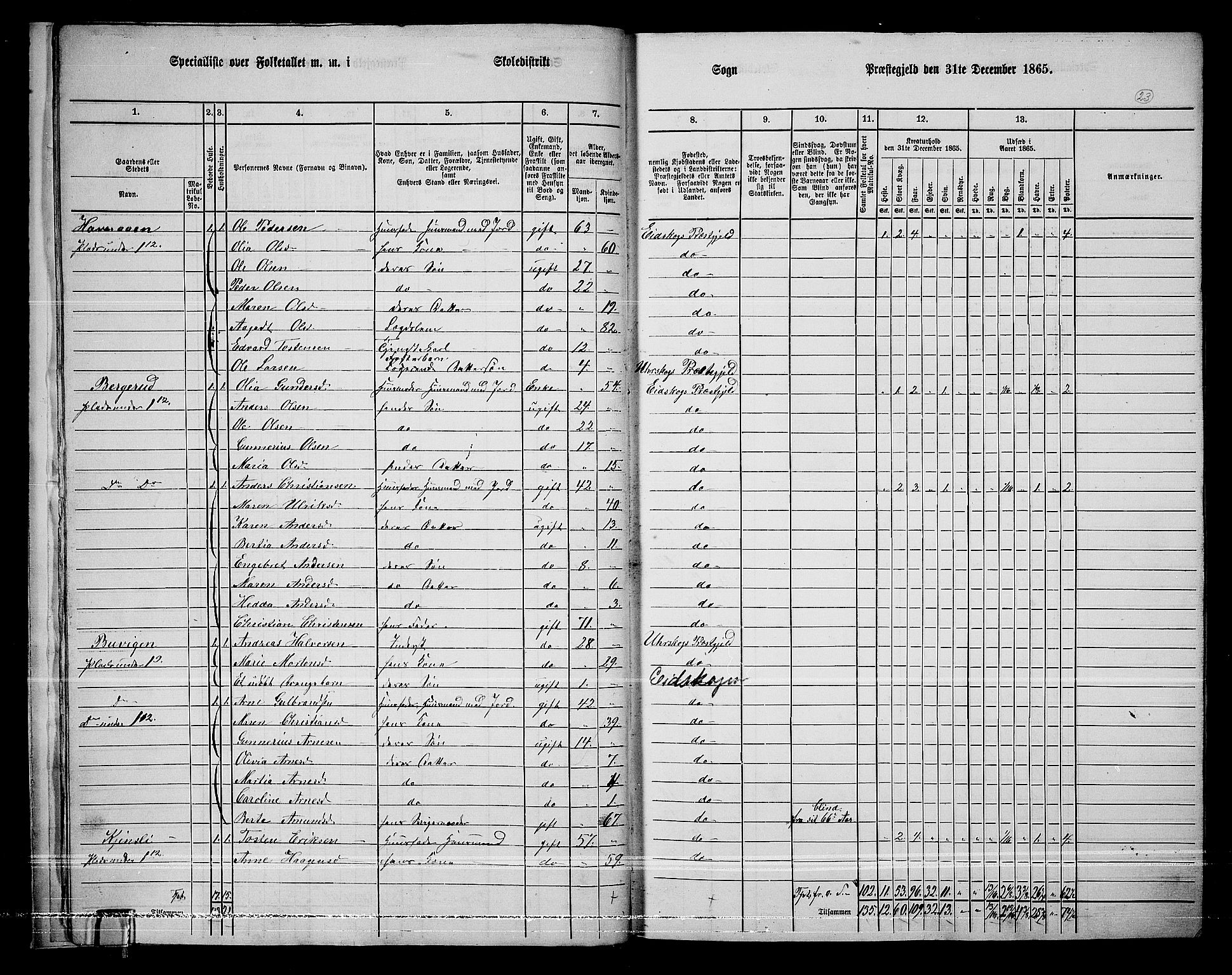 RA, 1865 census for Eidskog, 1865, p. 21