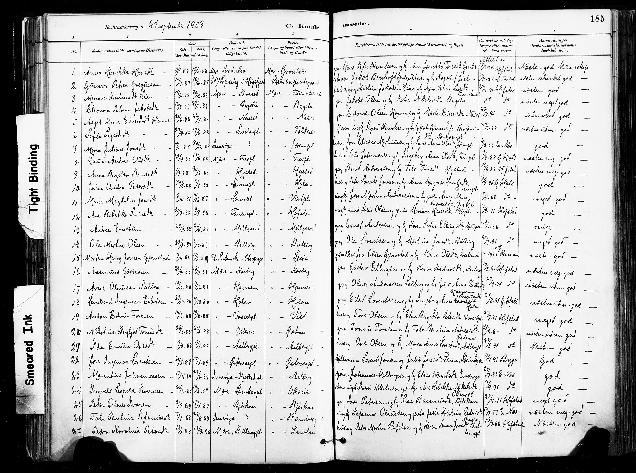 Ministerialprotokoller, klokkerbøker og fødselsregistre - Nord-Trøndelag, SAT/A-1458/735/L0351: Parish register (official) no. 735A10, 1884-1908, p. 185