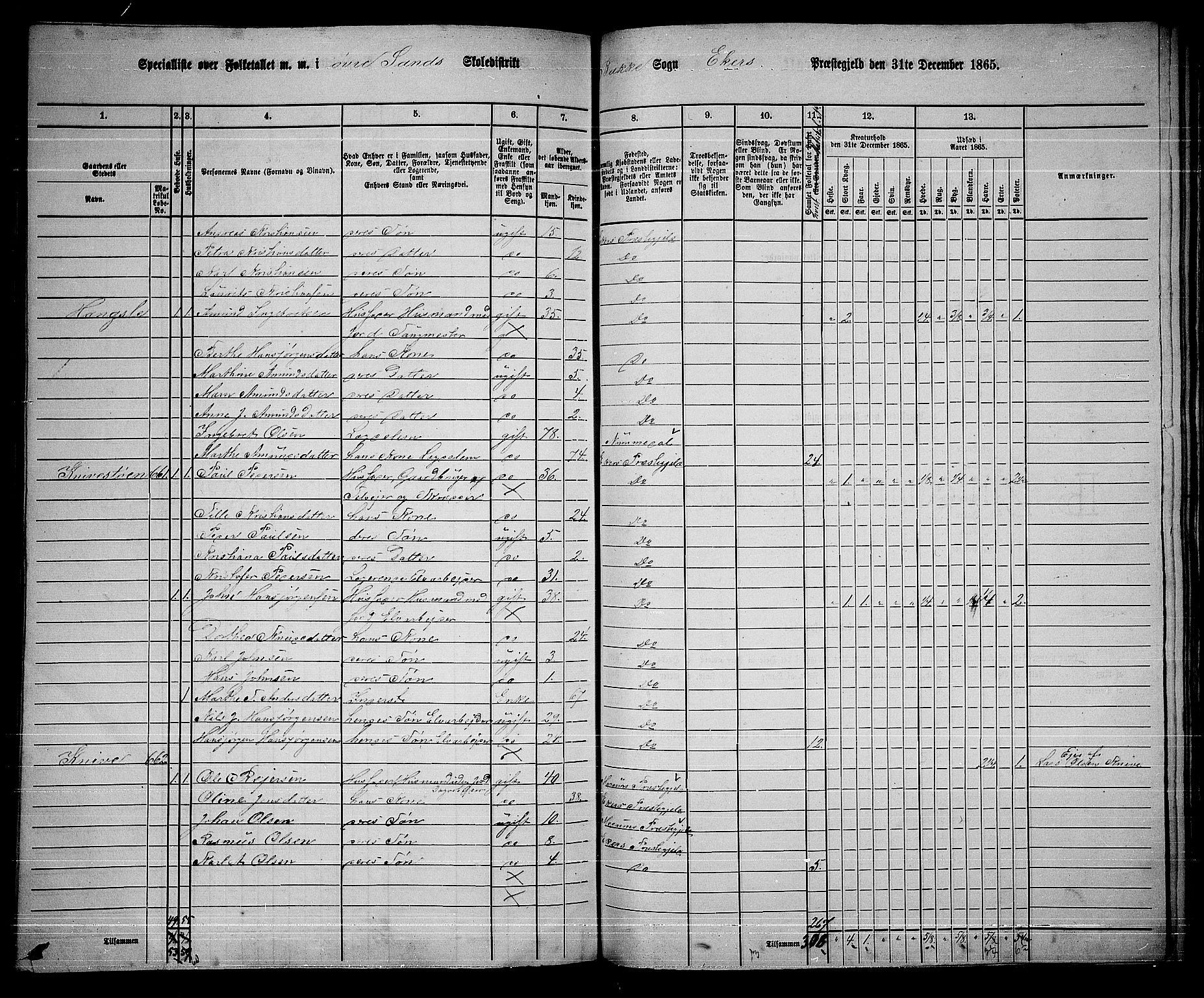 RA, 1865 census for Eiker, 1865, p. 463