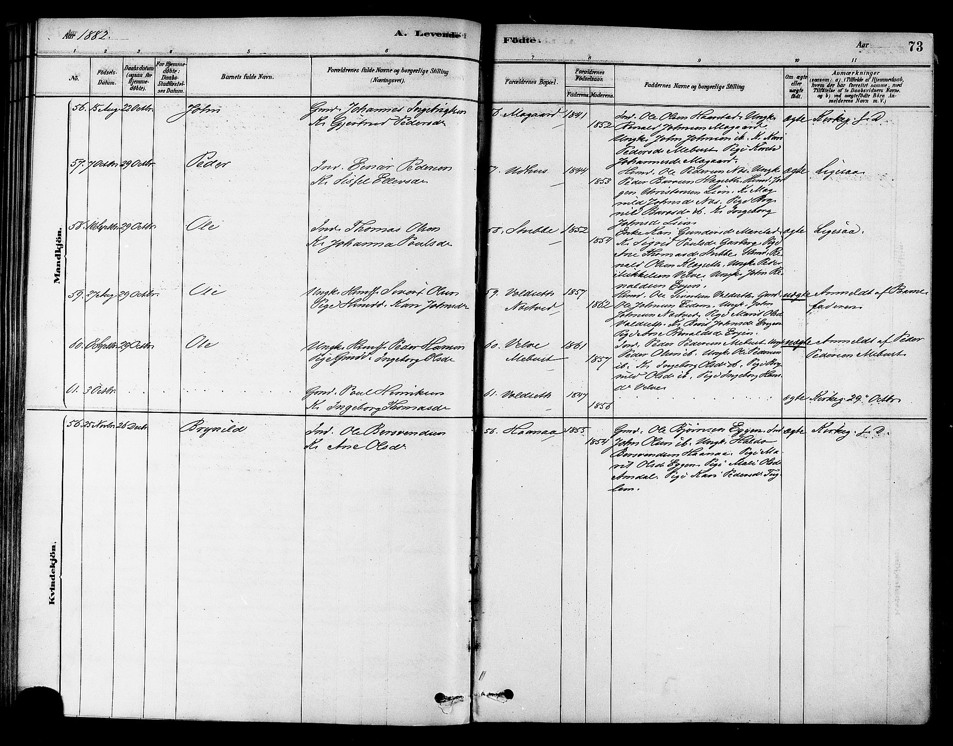 Ministerialprotokoller, klokkerbøker og fødselsregistre - Sør-Trøndelag, AV/SAT-A-1456/695/L1148: Parish register (official) no. 695A08, 1878-1891, p. 73