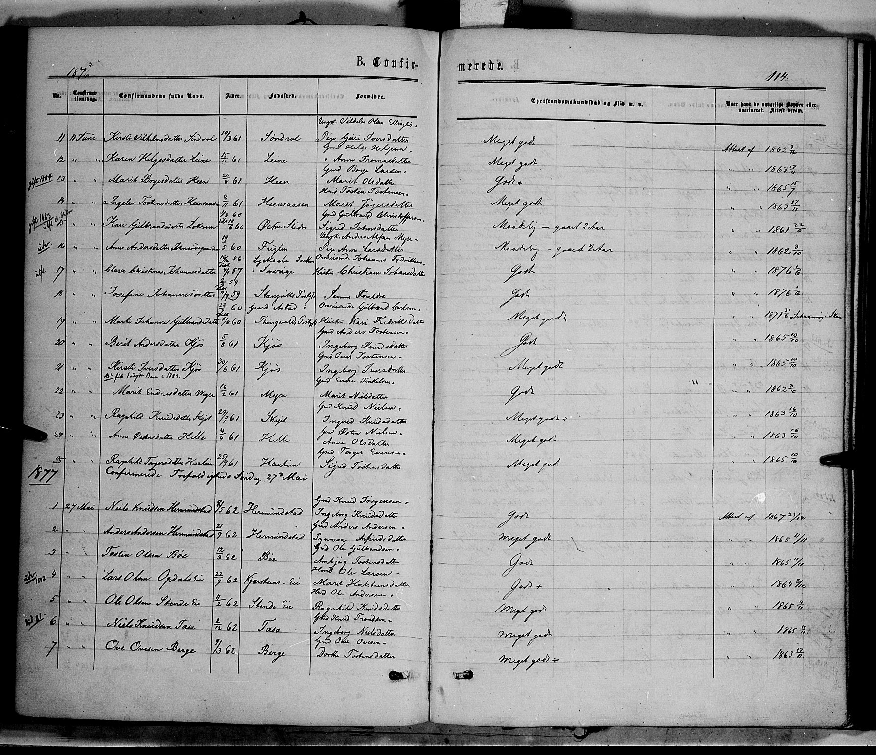 Vang prestekontor, Valdres, SAH/PREST-140/H/Ha/L0007: Parish register (official) no. 7, 1865-1881, p. 114