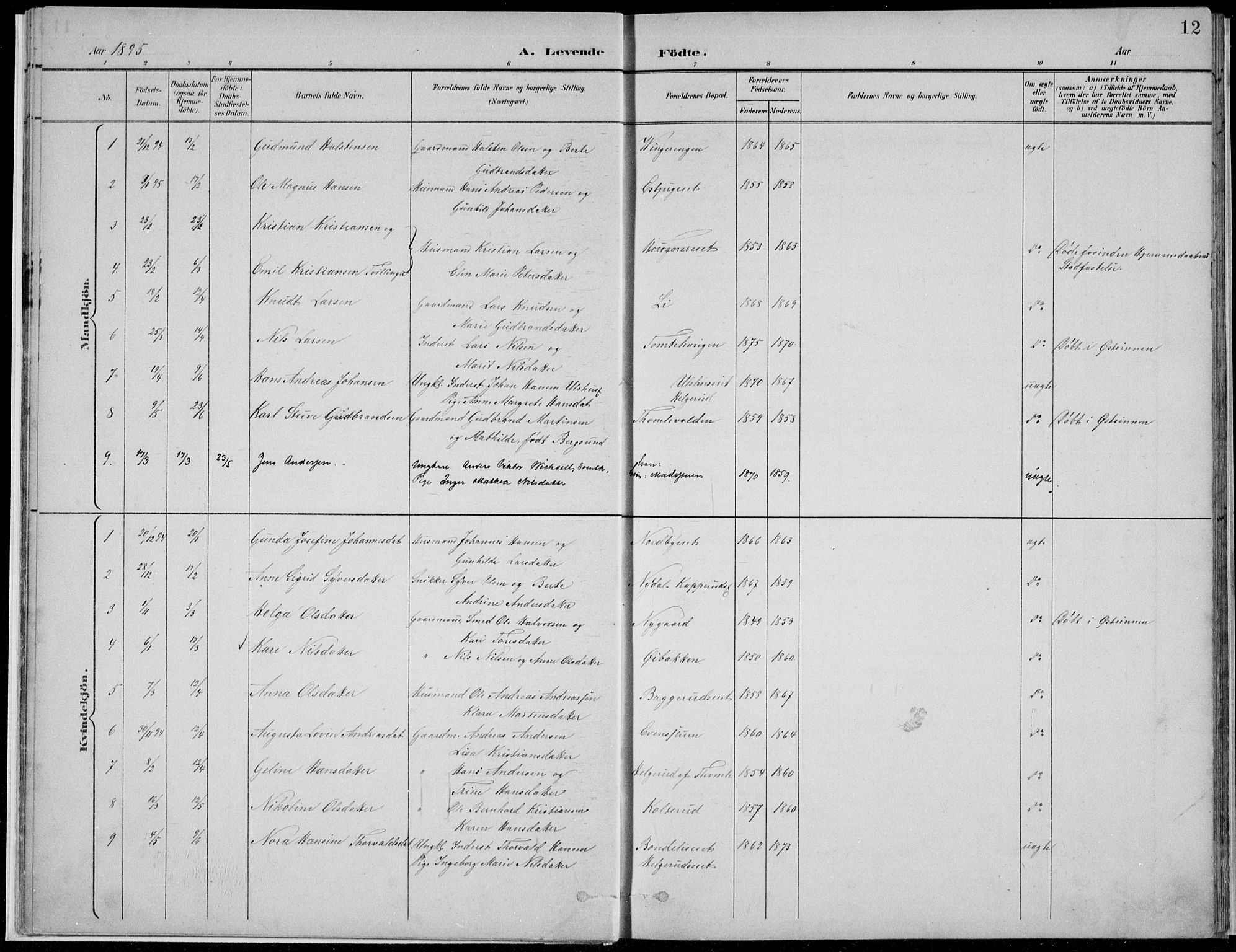 Nordre Land prestekontor, SAH/PREST-124/H/Ha/Hab/L0013: Parish register (copy) no. 13, 1891-1904, p. 12