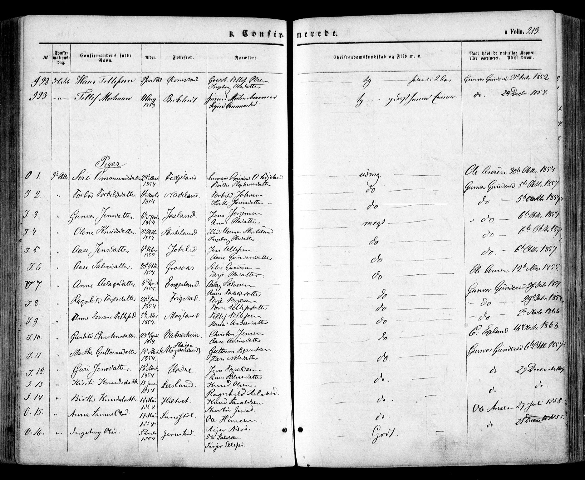 Evje sokneprestkontor, SAK/1111-0008/F/Fa/Faa/L0006: Parish register (official) no. A 6, 1866-1884, p. 213
