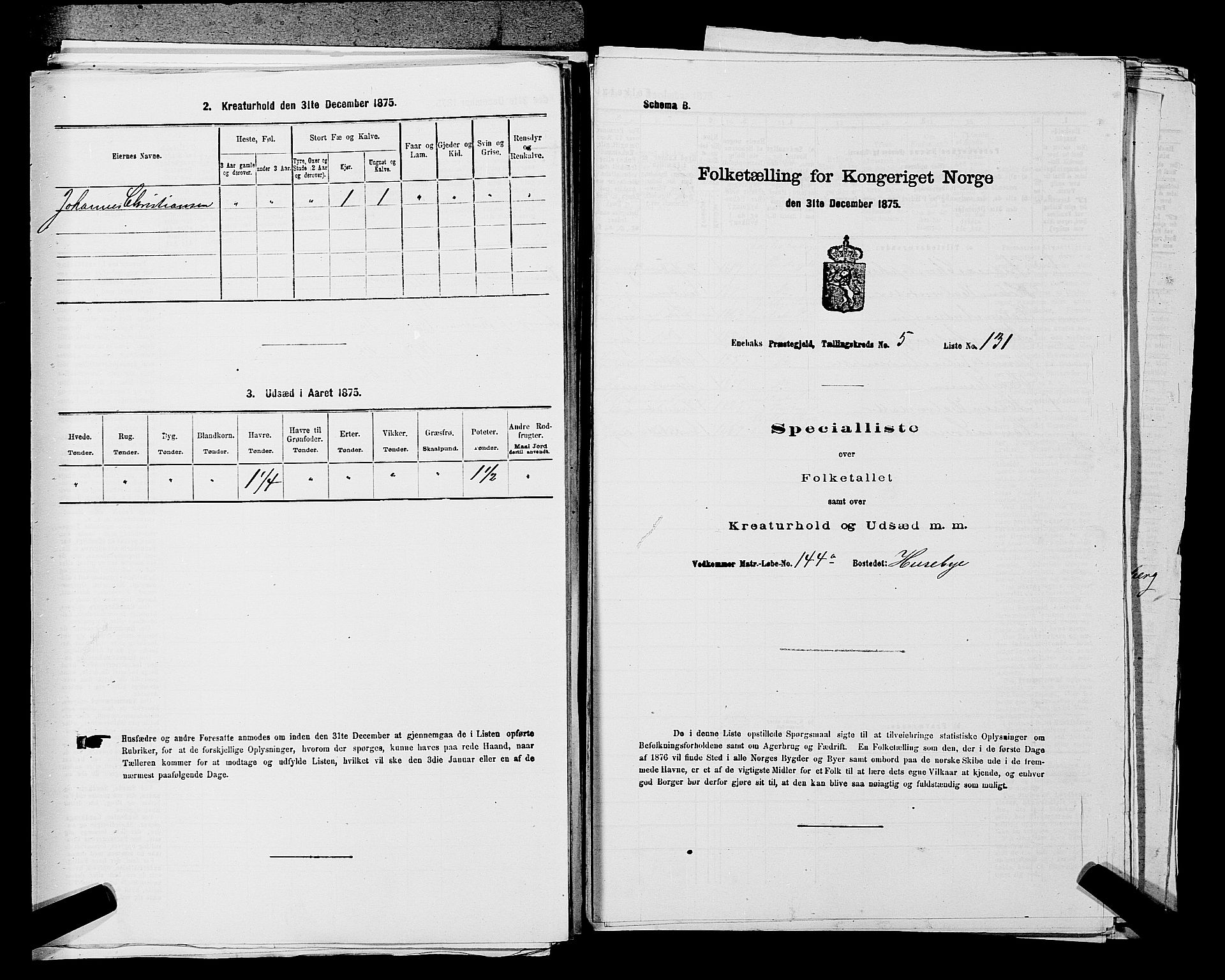 RA, 1875 census for 0229P Enebakk, 1875, p. 922