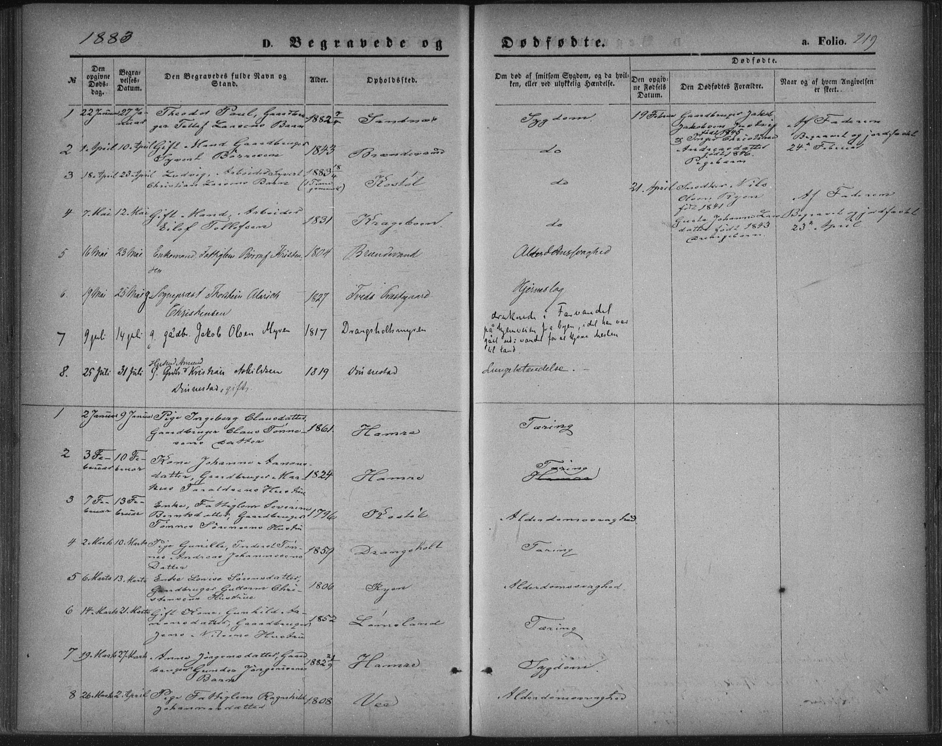 Tveit sokneprestkontor, SAK/1111-0043/F/Fa/L0006: Parish register (official) no. A 6, 1872-1886, p. 219
