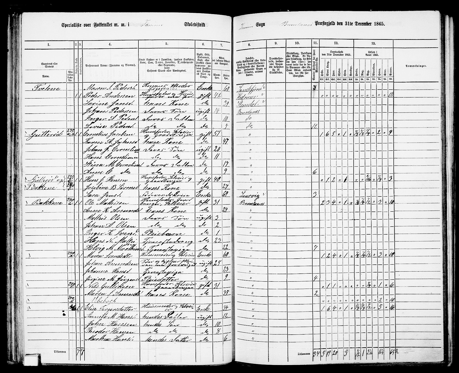 RA, 1865 census for Brunlanes, 1865, p. 53