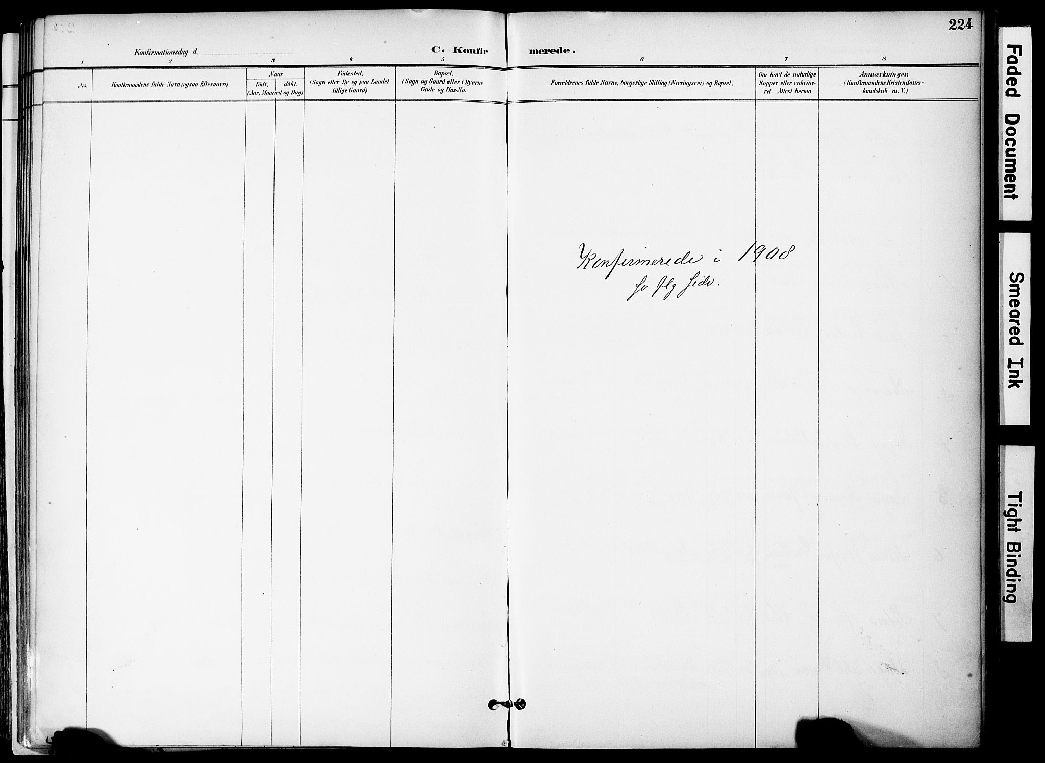 Hurum kirkebøker, AV/SAKO-A-229/F/Fa/L0015: Parish register (official) no. 15, 1896-1908, p. 224