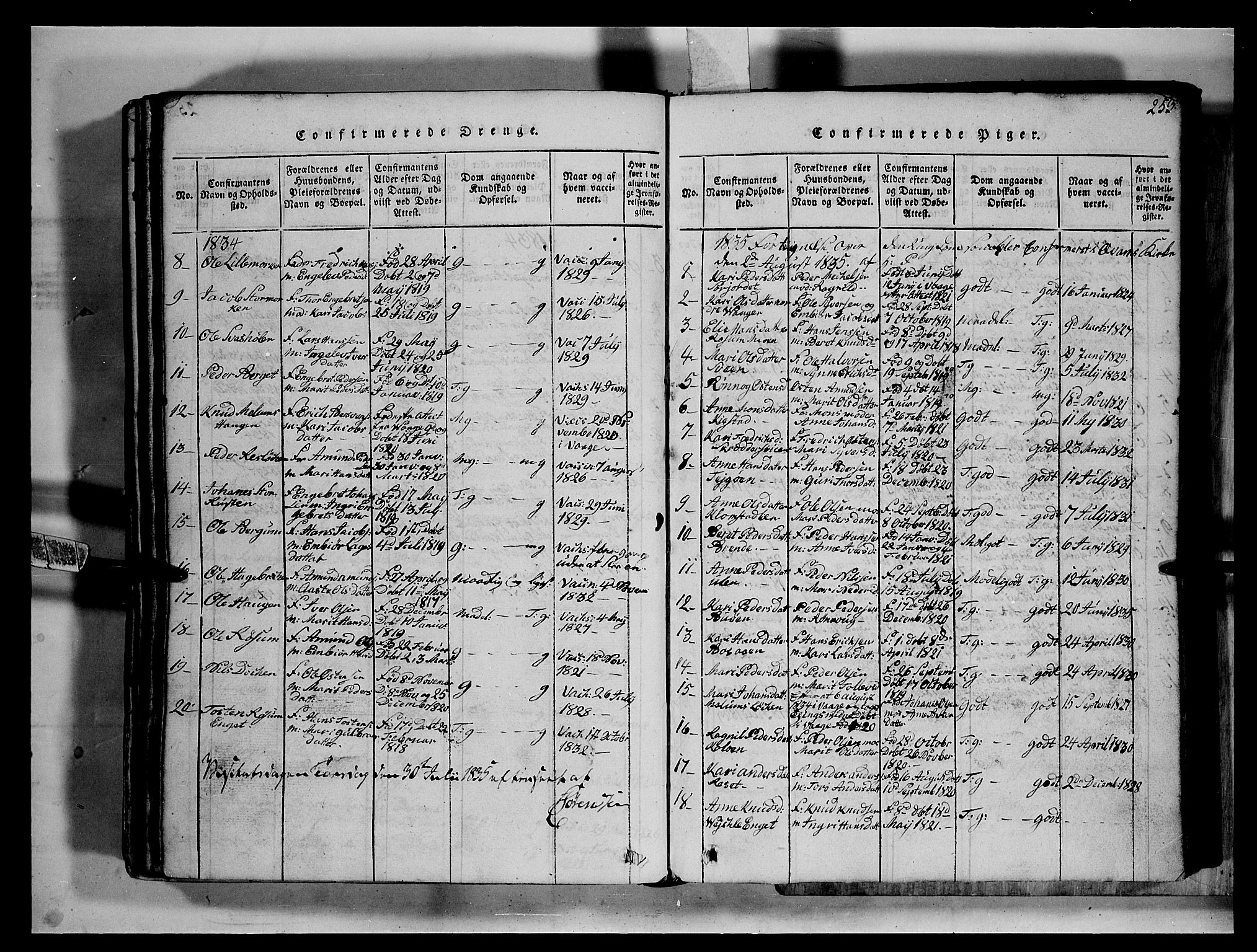 Fron prestekontor, SAH/PREST-078/H/Ha/Hab/L0002: Parish register (copy) no. 2, 1816-1850, p. 253