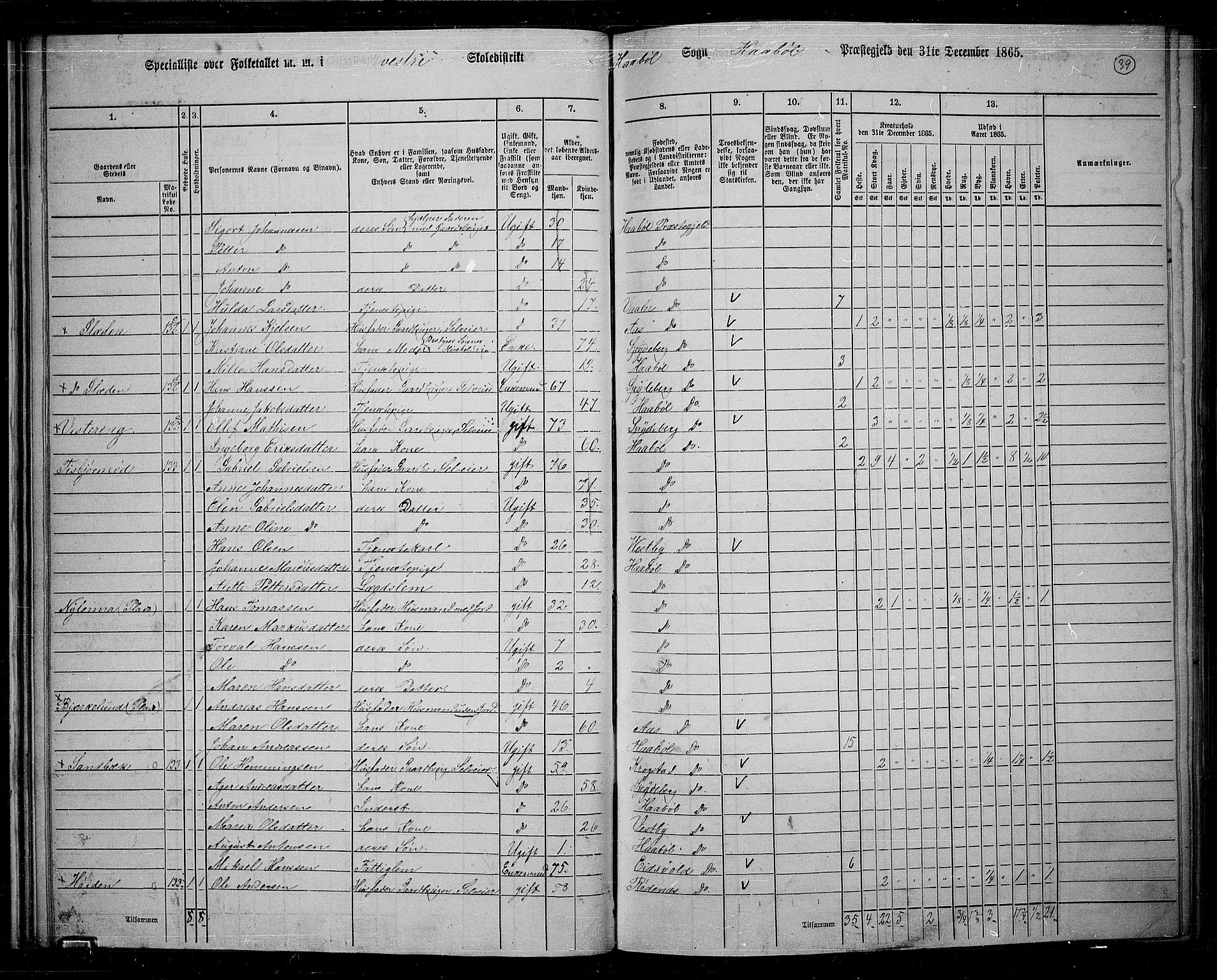 RA, 1865 census for Hobøl, 1865, p. 35