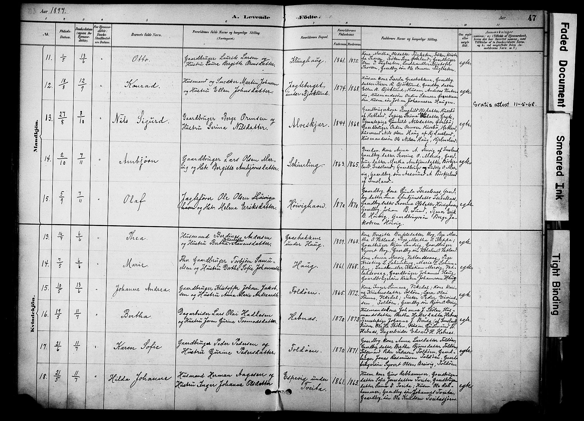 Jelsa sokneprestkontor, AV/SAST-A-101842/01/IV: Parish register (official) no. A 10, 1884-1906, p. 47