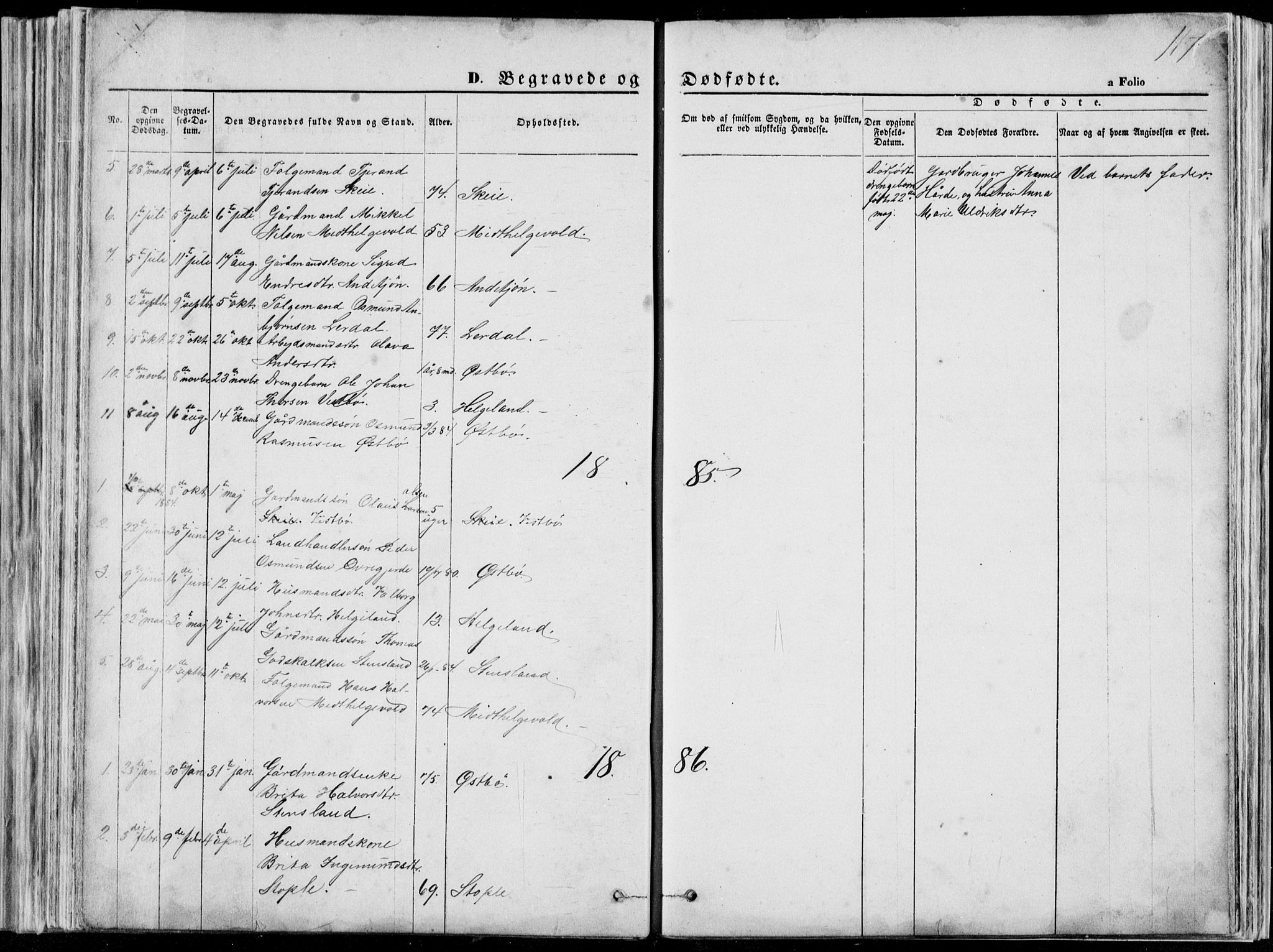 Vikedal sokneprestkontor, SAST/A-101840/01/V: Parish register (copy) no. B 10, 1864-1926, p. 117