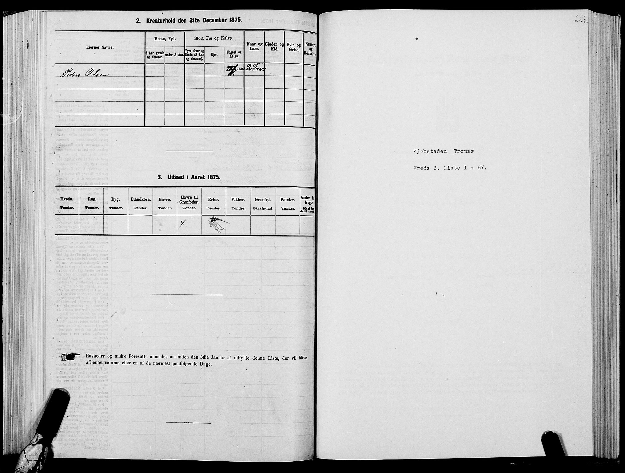 SATØ, 1875 census for 1902P Tromsø, 1875