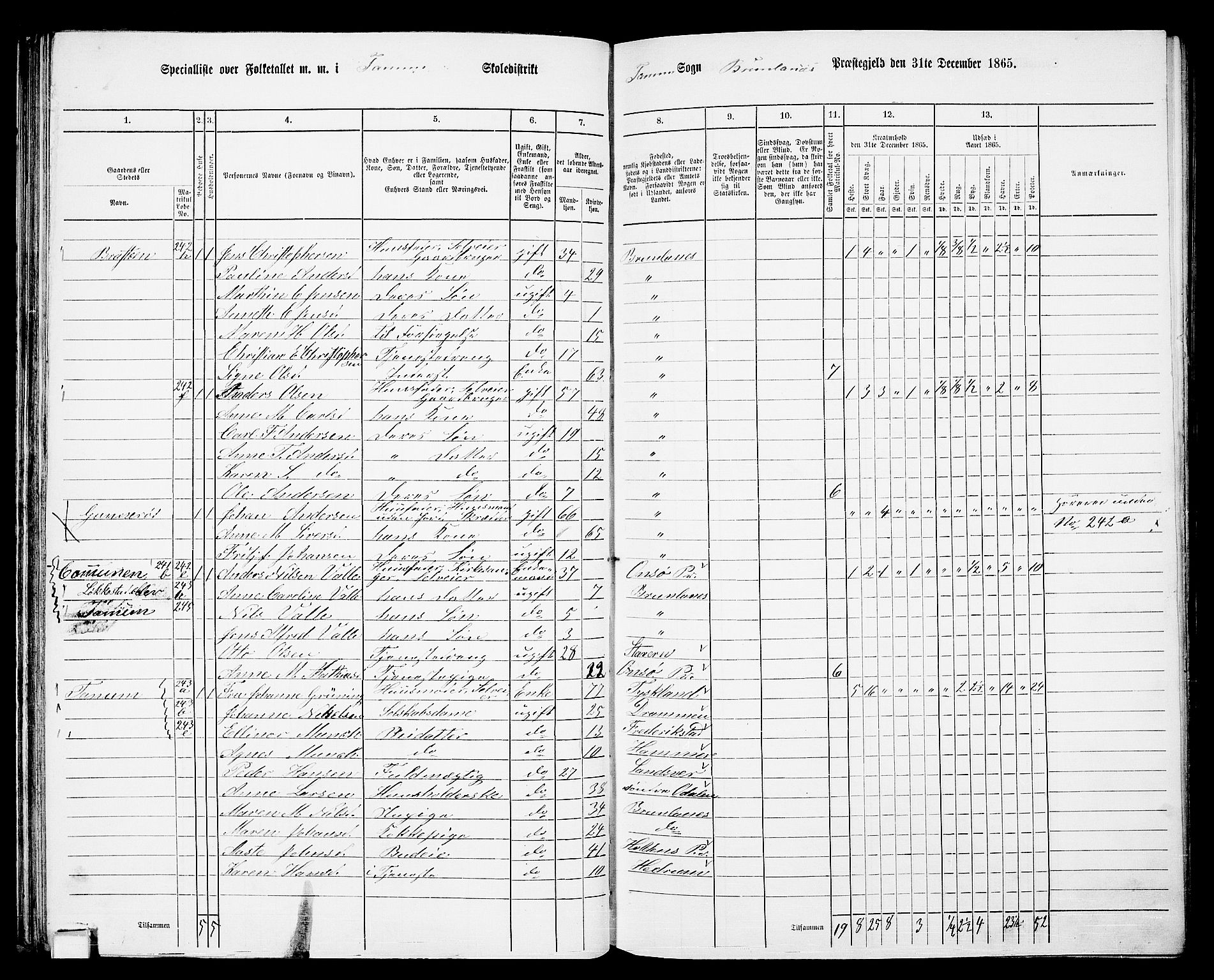 RA, 1865 census for Brunlanes, 1865, p. 64