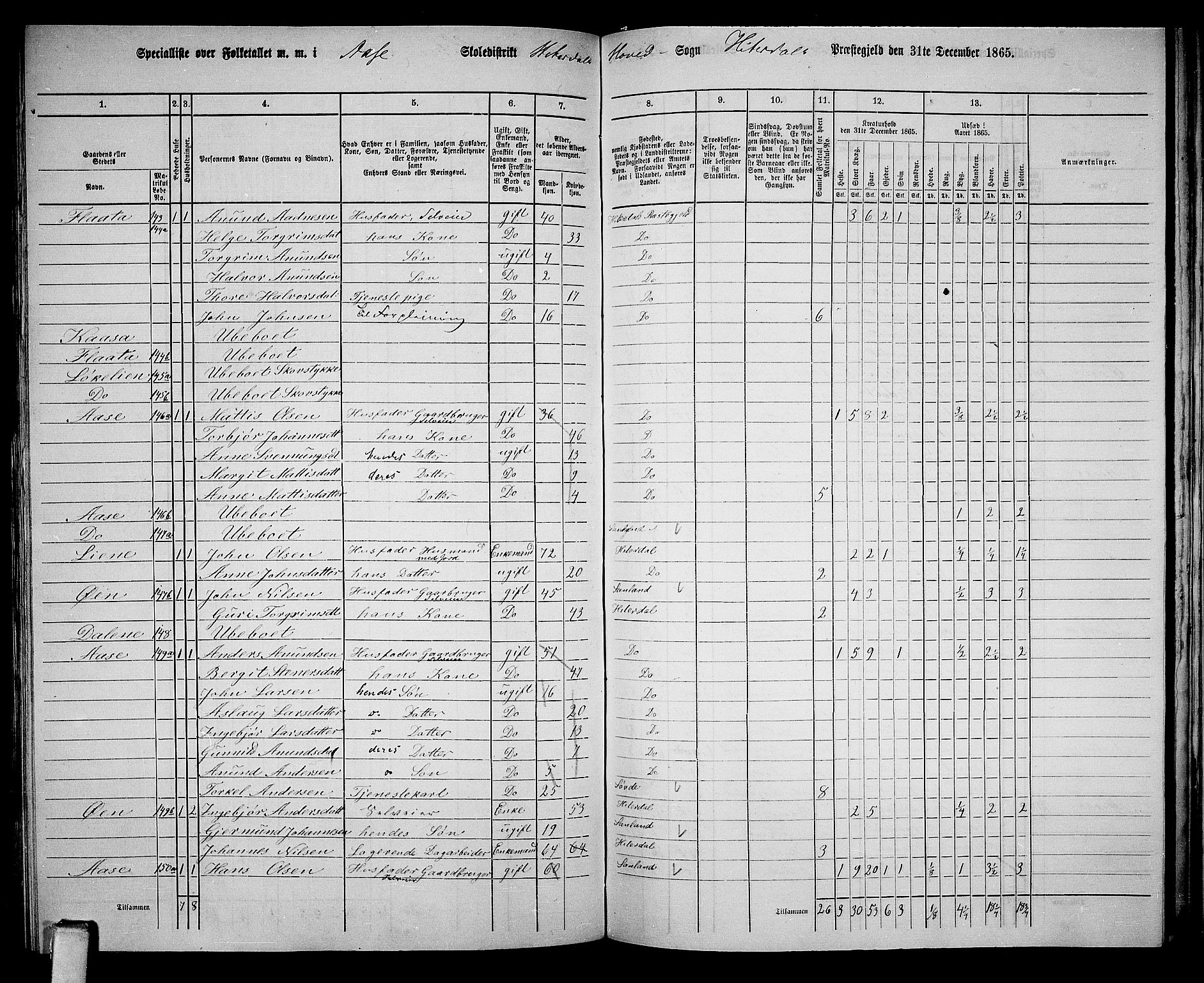 RA, 1865 census for Heddal, 1865, p. 116