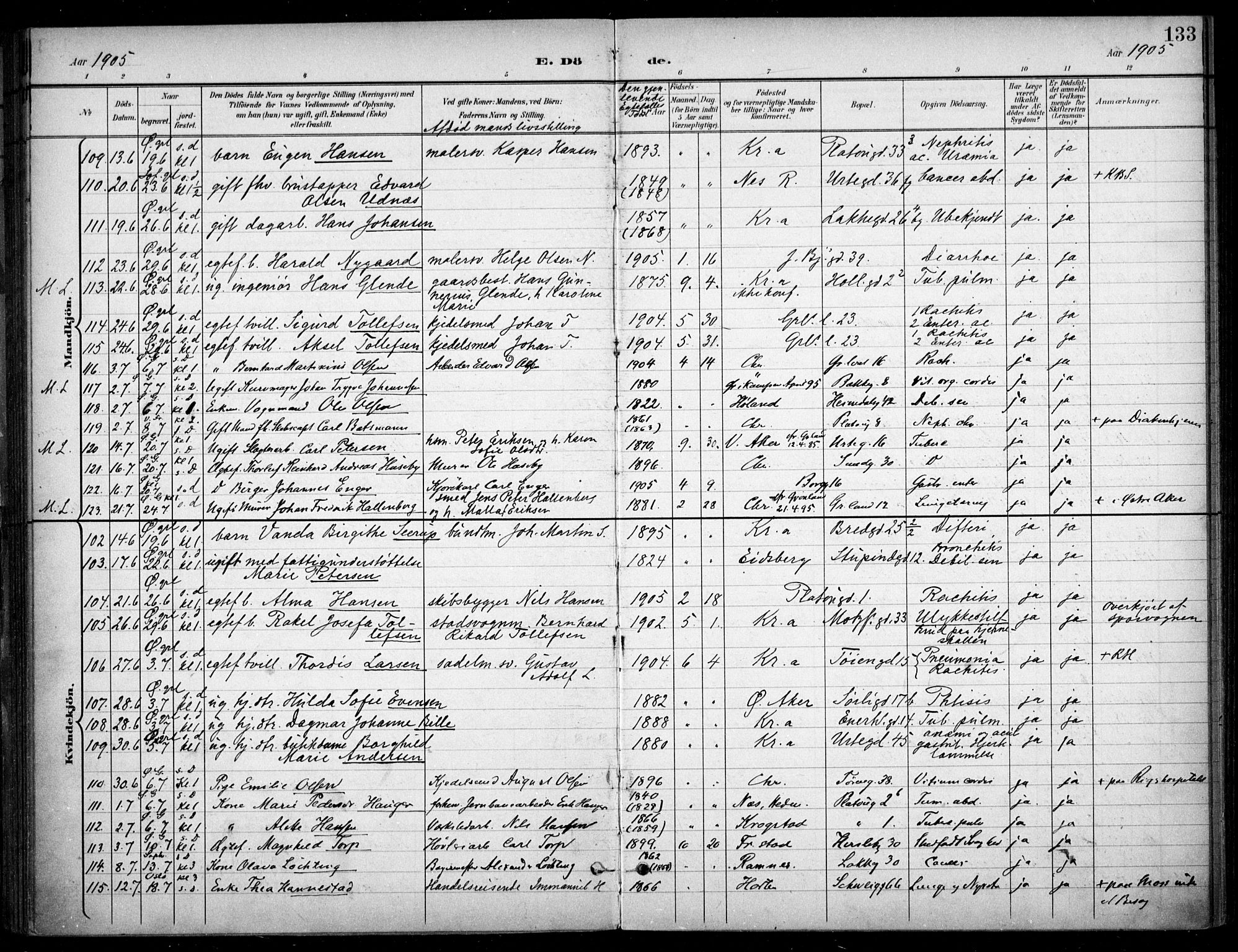 Grønland prestekontor Kirkebøker, SAO/A-10848/F/Fa/L0016: Parish register (official) no. 16, 1898-1918, p. 133