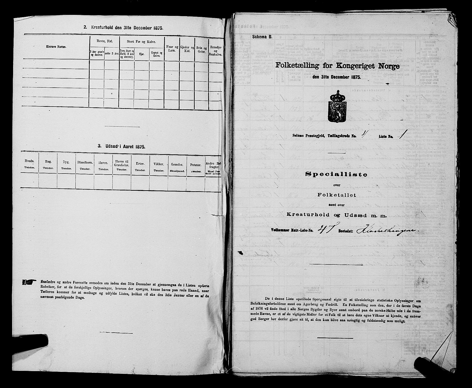 SAKO, 1875 census for 0818P Solum, 1875, p. 701