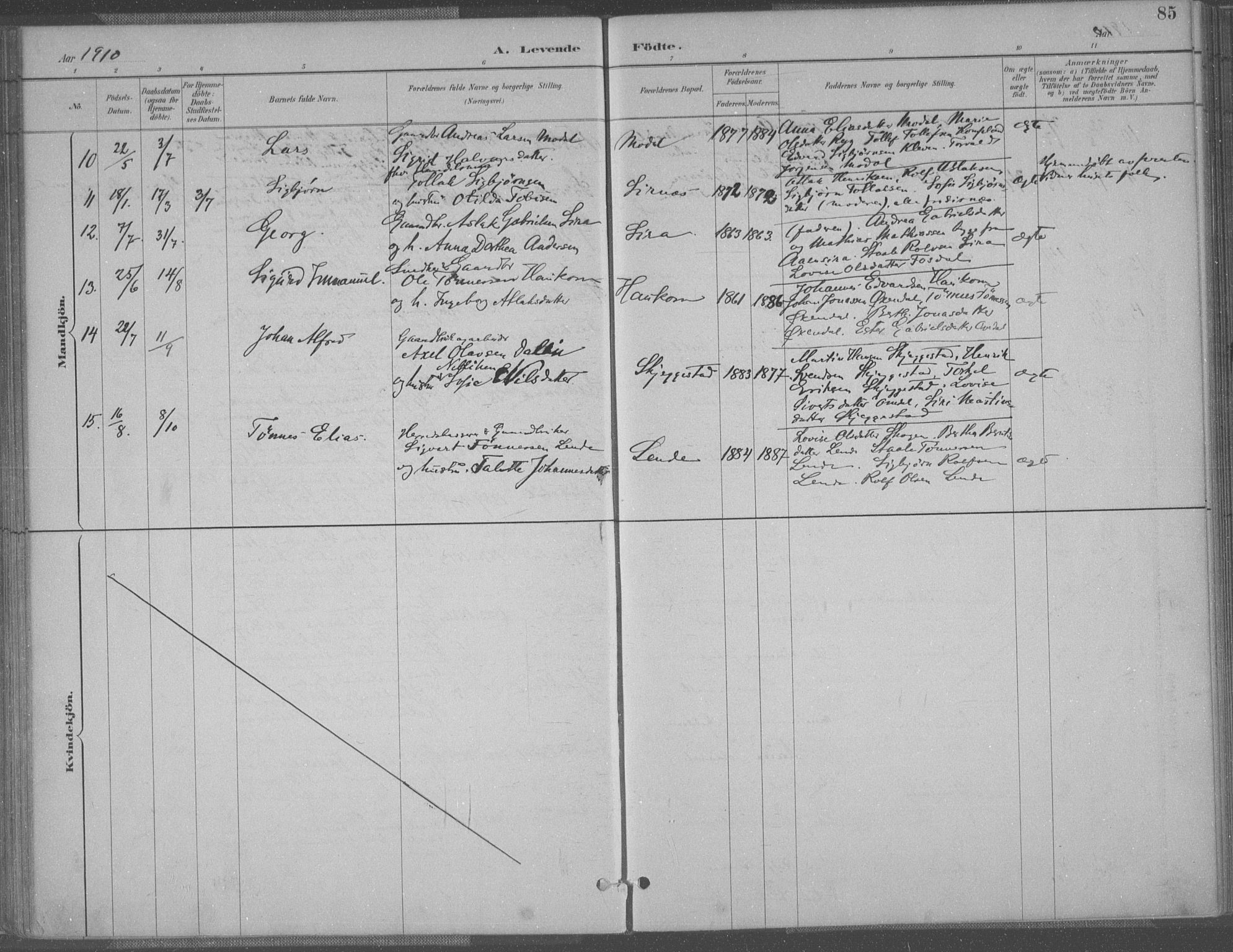 Bakke sokneprestkontor, AV/SAK-1111-0002/F/Fa/Faa/L0008: Parish register (official) no. A 8, 1887-1911, p. 85