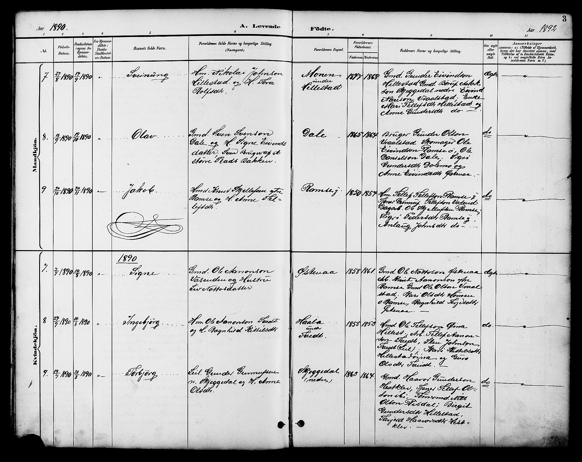 Åmli sokneprestkontor, SAK/1111-0050/F/Fb/Fbb/L0002: Parish register (copy) no. B 2, 1890-1905, p. 3
