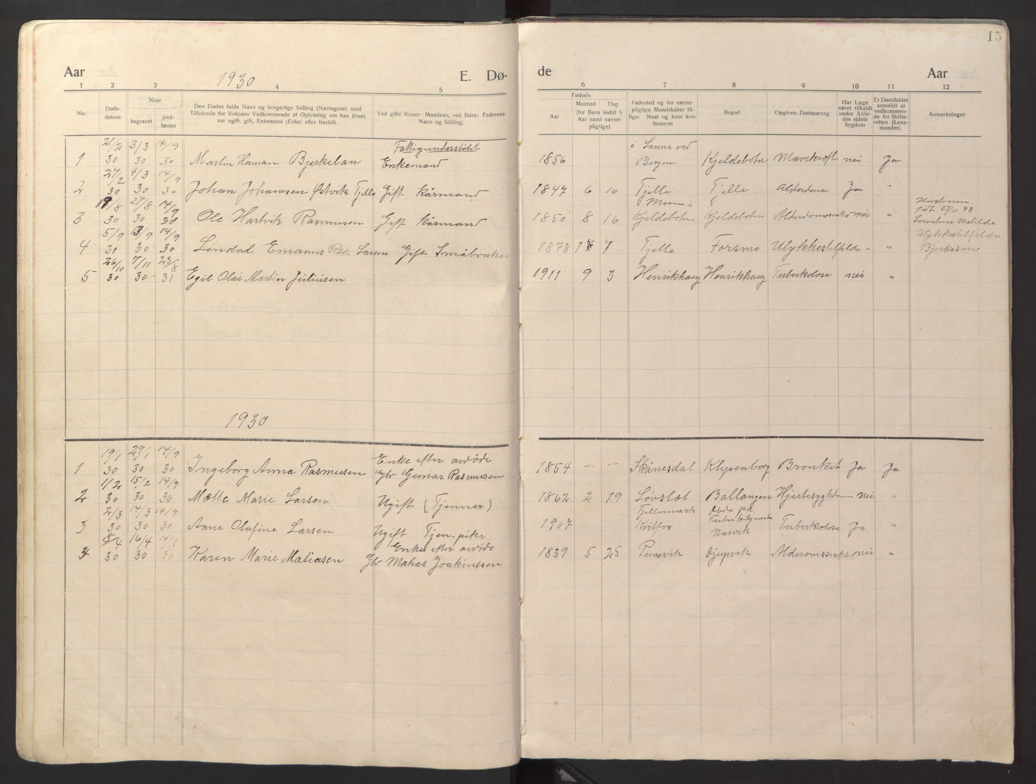 Ministerialprotokoller, klokkerbøker og fødselsregistre - Nordland, AV/SAT-A-1459/869/L0981: Parish register (copy) no. 869C07, 1911-1938, p. 15