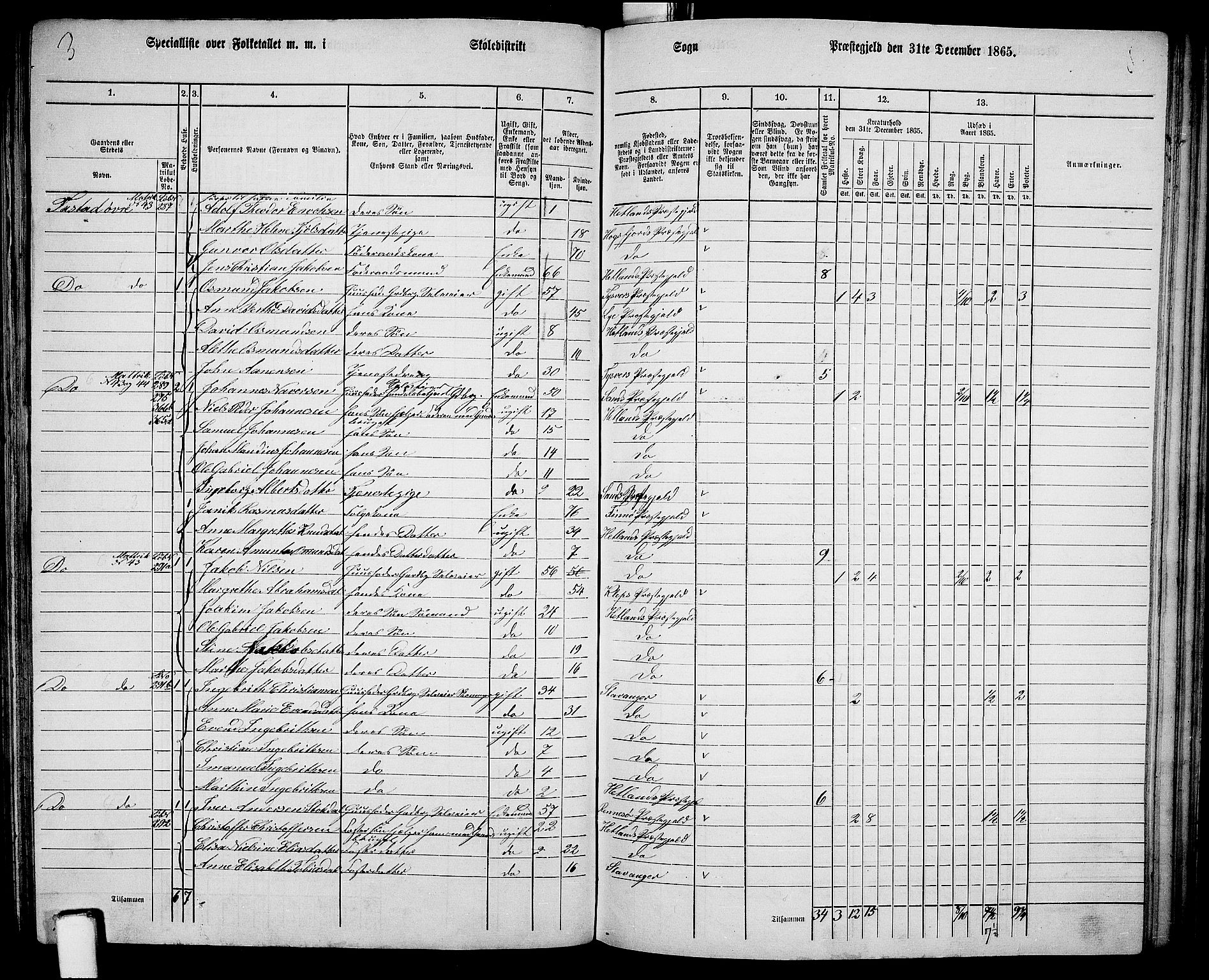 RA, 1865 census for Hetland, 1865, p. 156