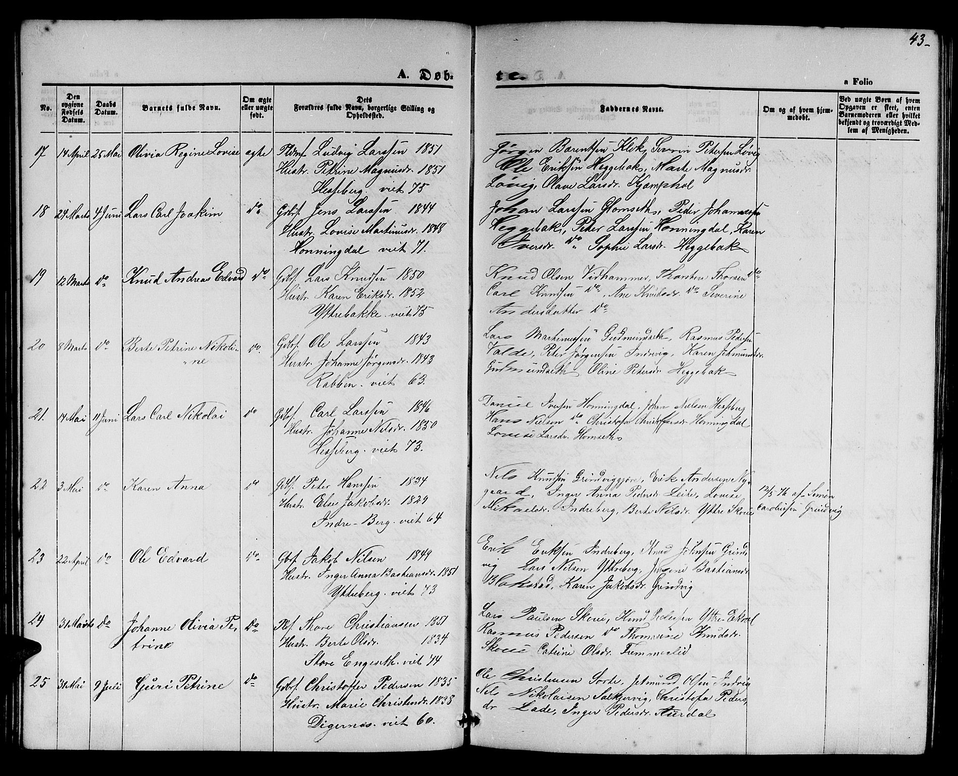 Ministerialprotokoller, klokkerbøker og fødselsregistre - Møre og Romsdal, AV/SAT-A-1454/524/L0364: Parish register (copy) no. 524C05, 1865-1879, p. 43