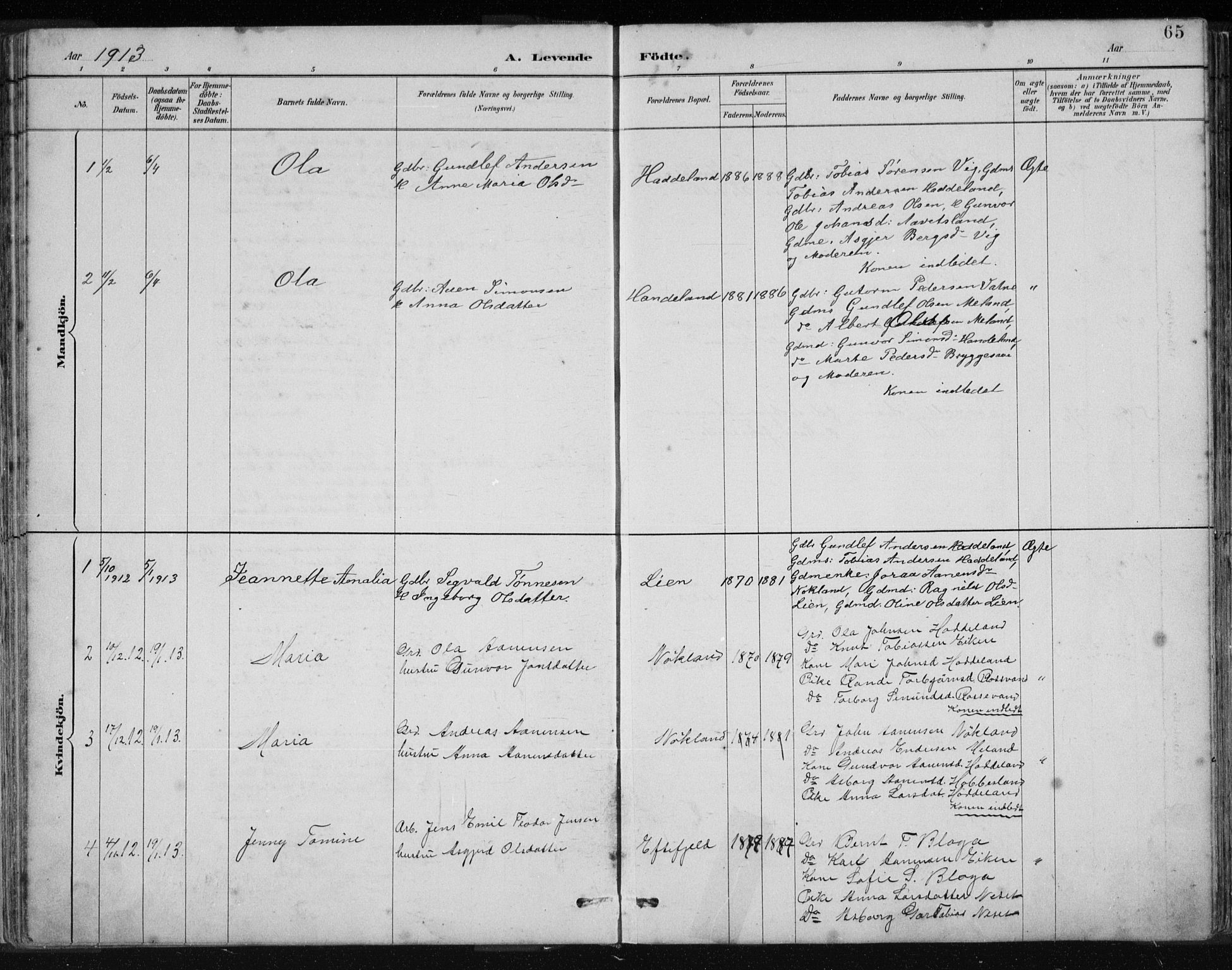 Hægebostad sokneprestkontor, AV/SAK-1111-0024/F/Fb/Fbb/L0003: Parish register (copy) no. B 3, 1887-1937, p. 65