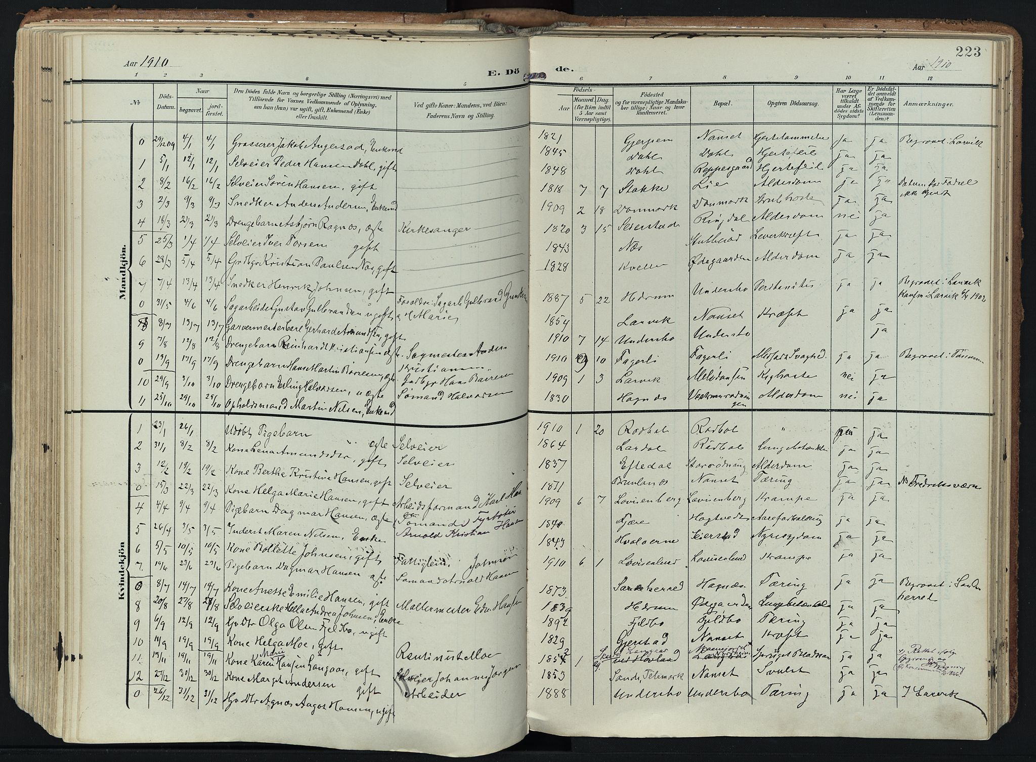 Hedrum kirkebøker, AV/SAKO-A-344/F/Fa/L0010: Parish register (official) no. I 10, 1904-1918, p. 223