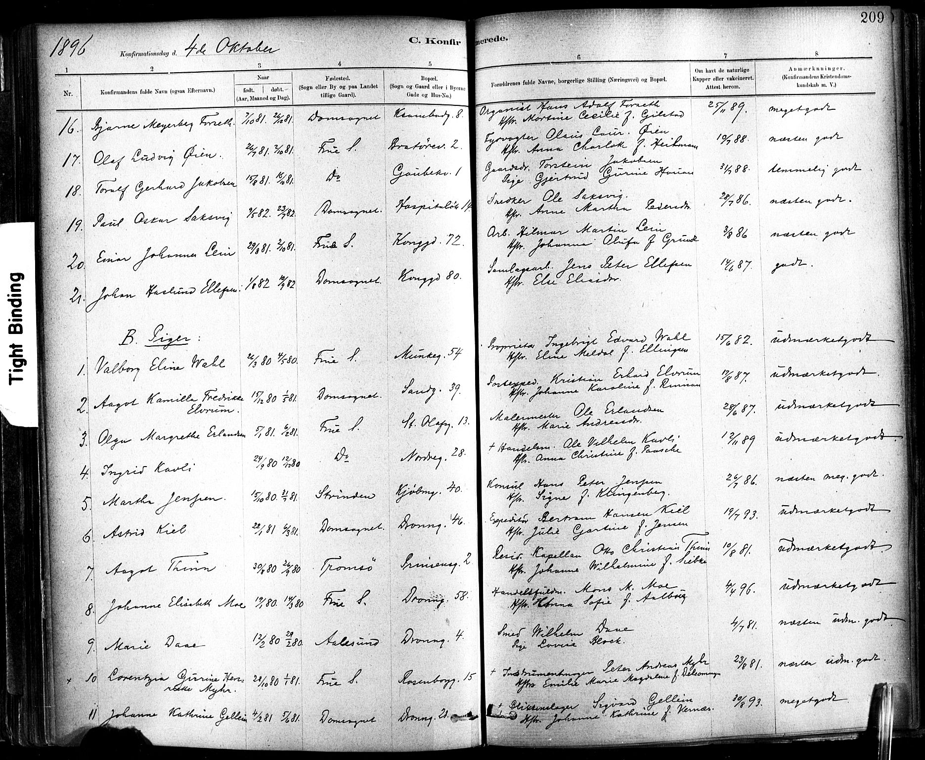 Ministerialprotokoller, klokkerbøker og fødselsregistre - Sør-Trøndelag, SAT/A-1456/602/L0119: Parish register (official) no. 602A17, 1880-1901, p. 209