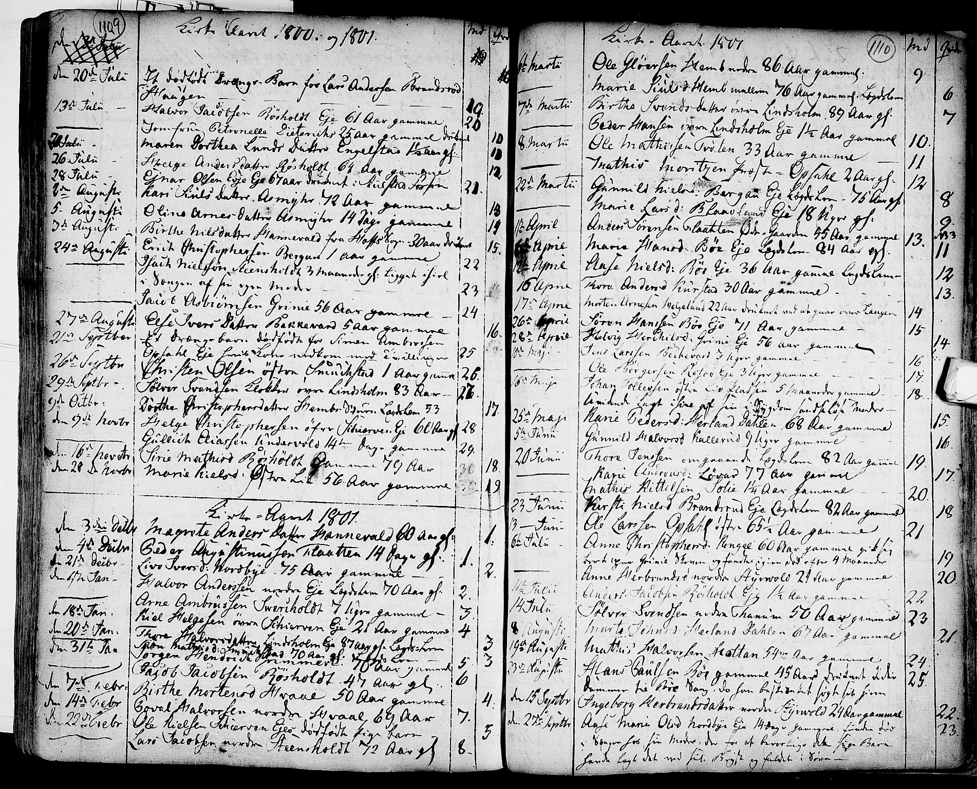 Lardal kirkebøker, SAKO/A-350/F/Fa/L0003: Parish register (official) no. I 3, 1733-1815, p. 1109-1110