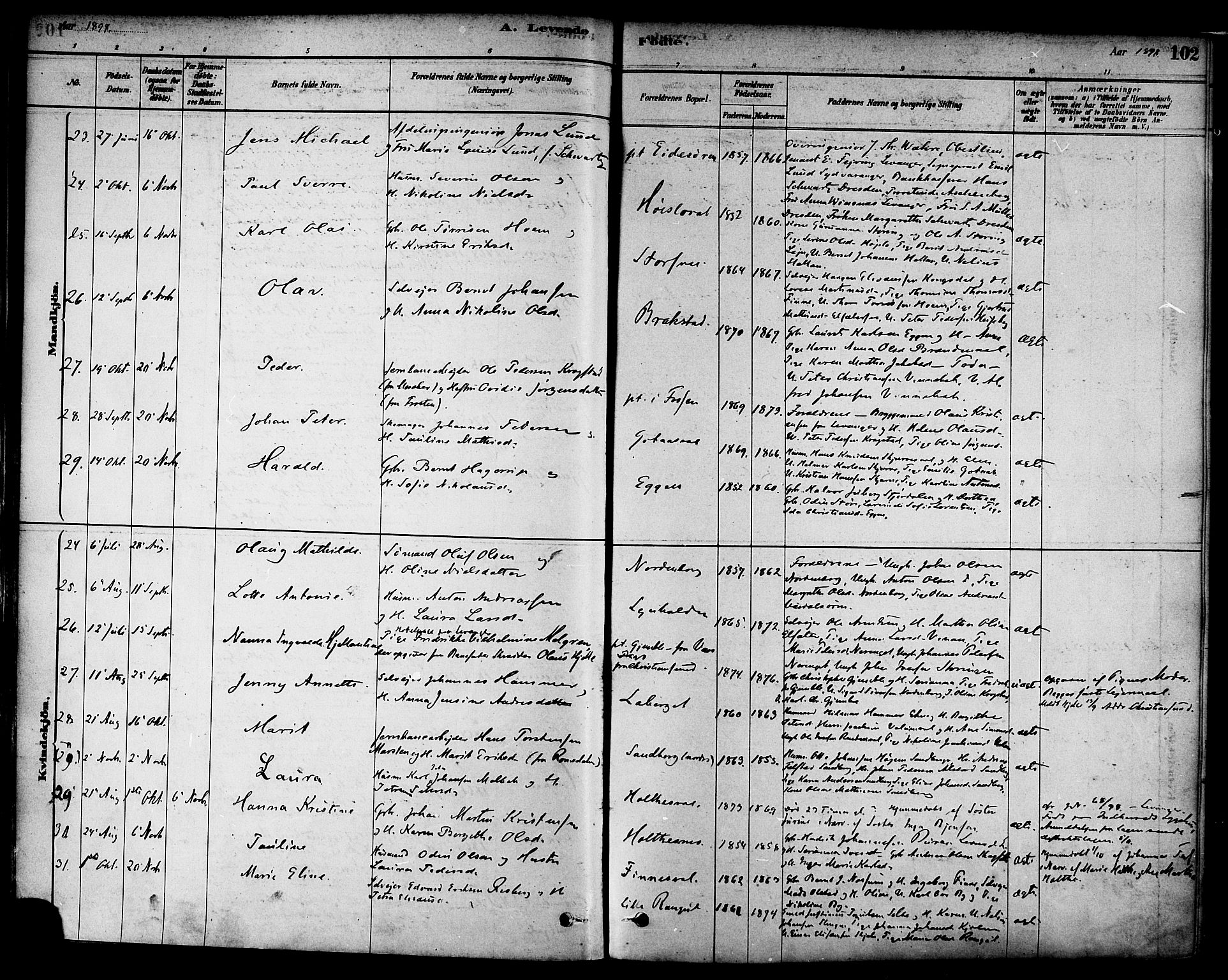 Ministerialprotokoller, klokkerbøker og fødselsregistre - Nord-Trøndelag, SAT/A-1458/717/L0159: Parish register (official) no. 717A09, 1878-1898, p. 102