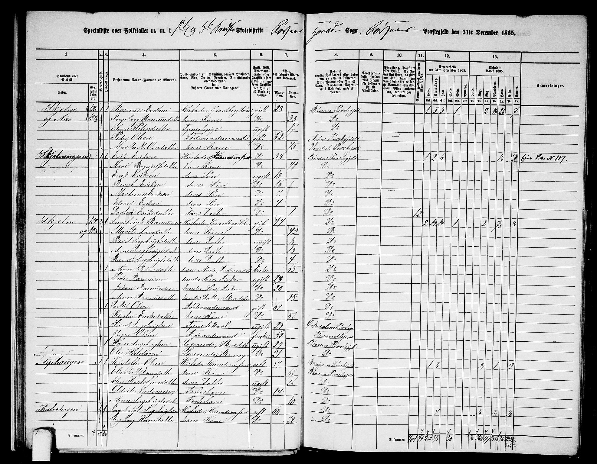 RA, 1865 census for Børsa, 1865, p. 27