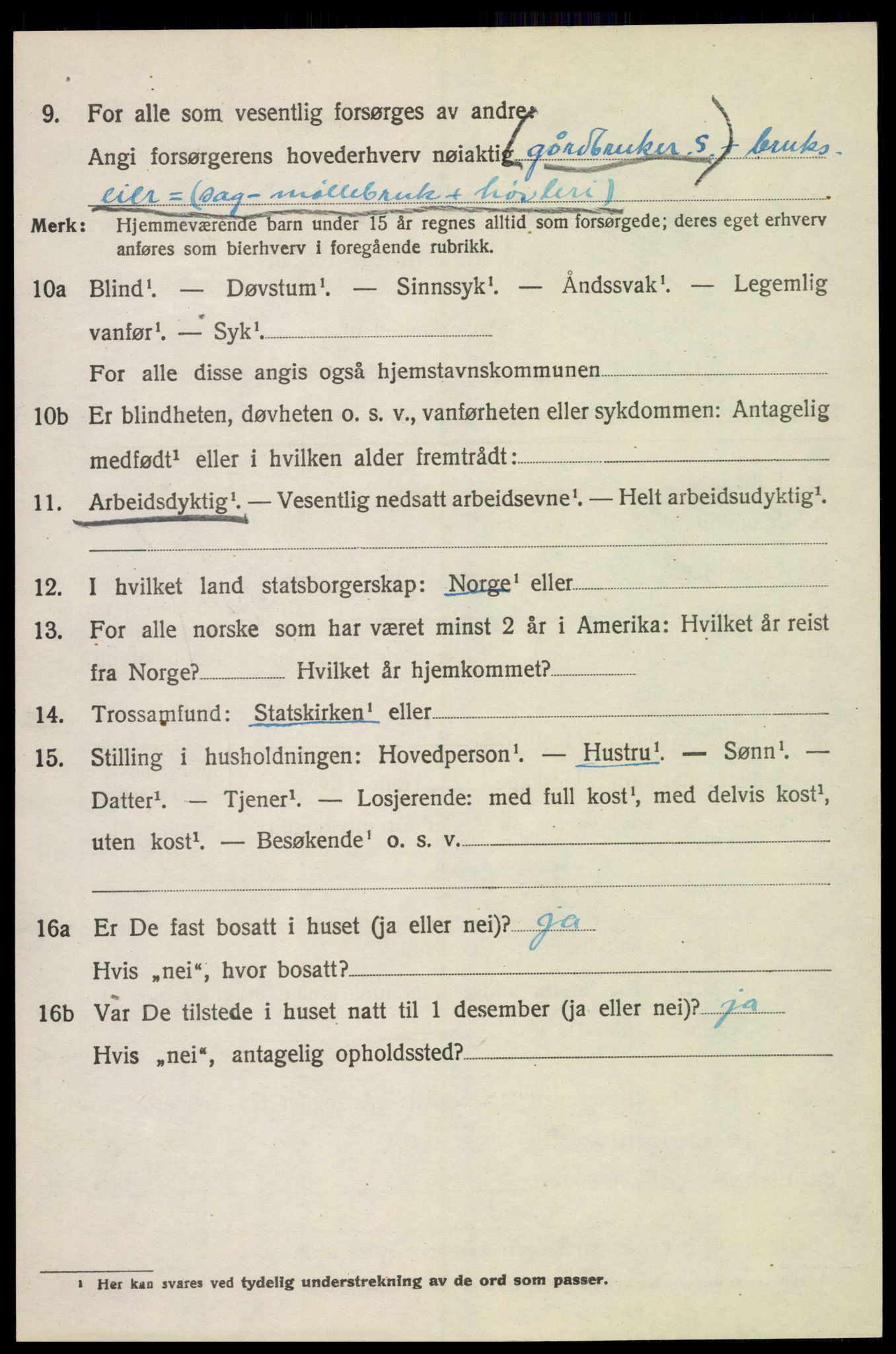 SAH, 1920 census for Vang (Hedmark), 1920, p. 15042