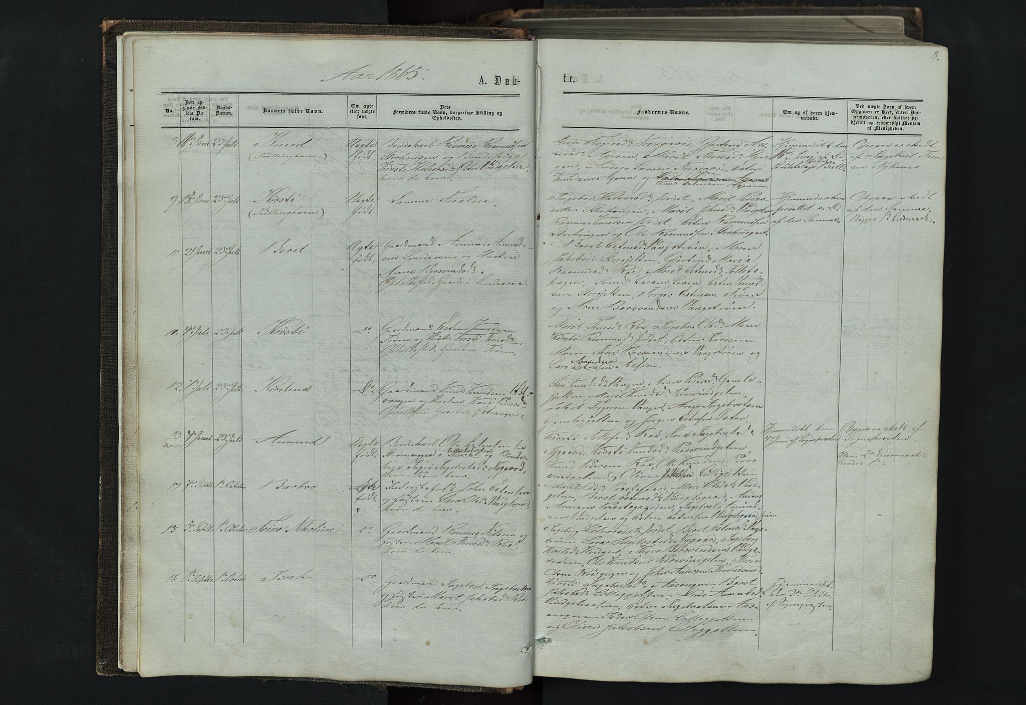 Tolga prestekontor, AV/SAH-PREST-062/L/L0005: Parish register (copy) no. 5, 1862-1893, p. 8