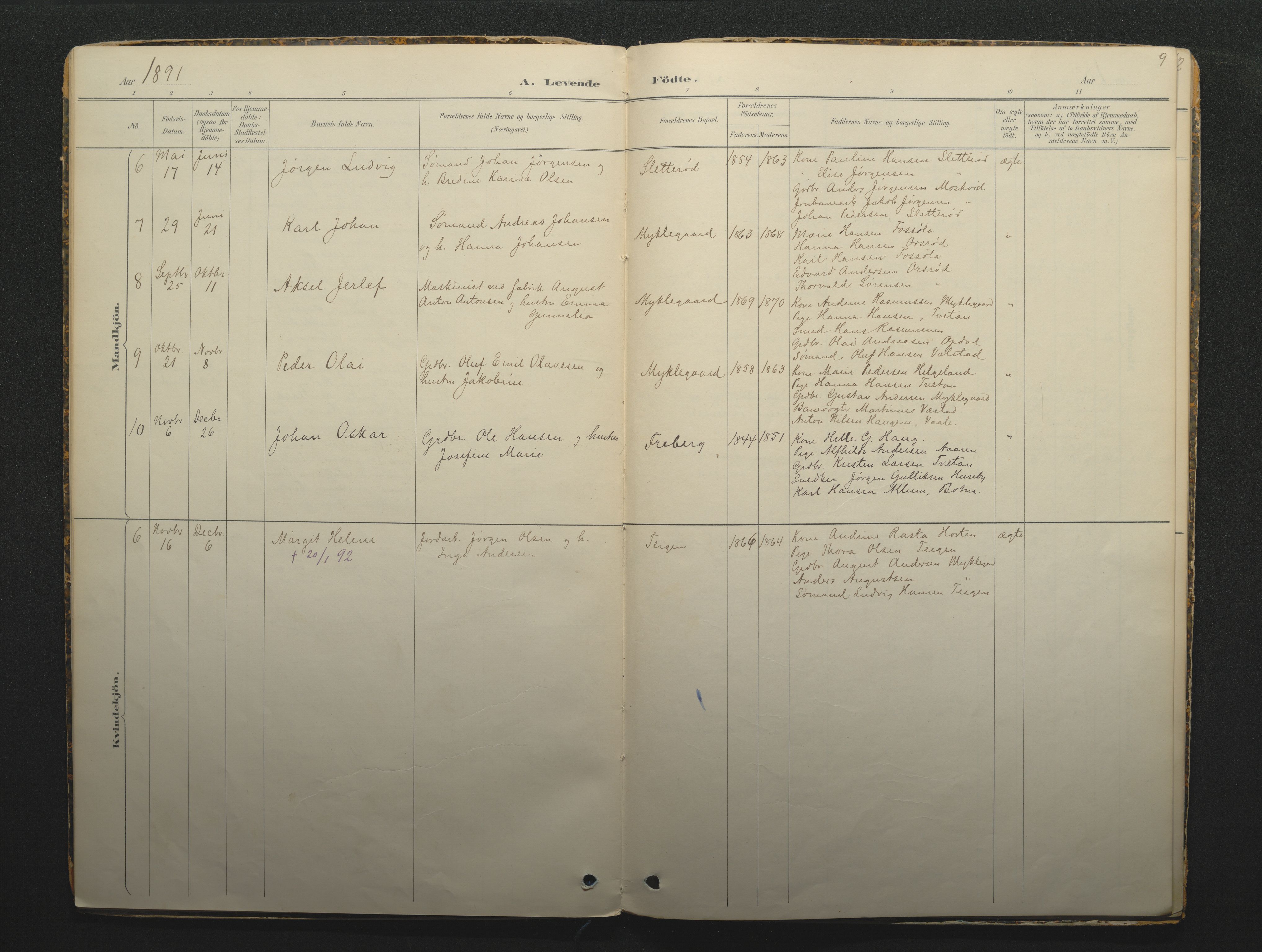 Borre kirkebøker, SAKO/A-338/F/Fc/L0002: Parish register (official) no. III 2, 1888-1896, p. 9