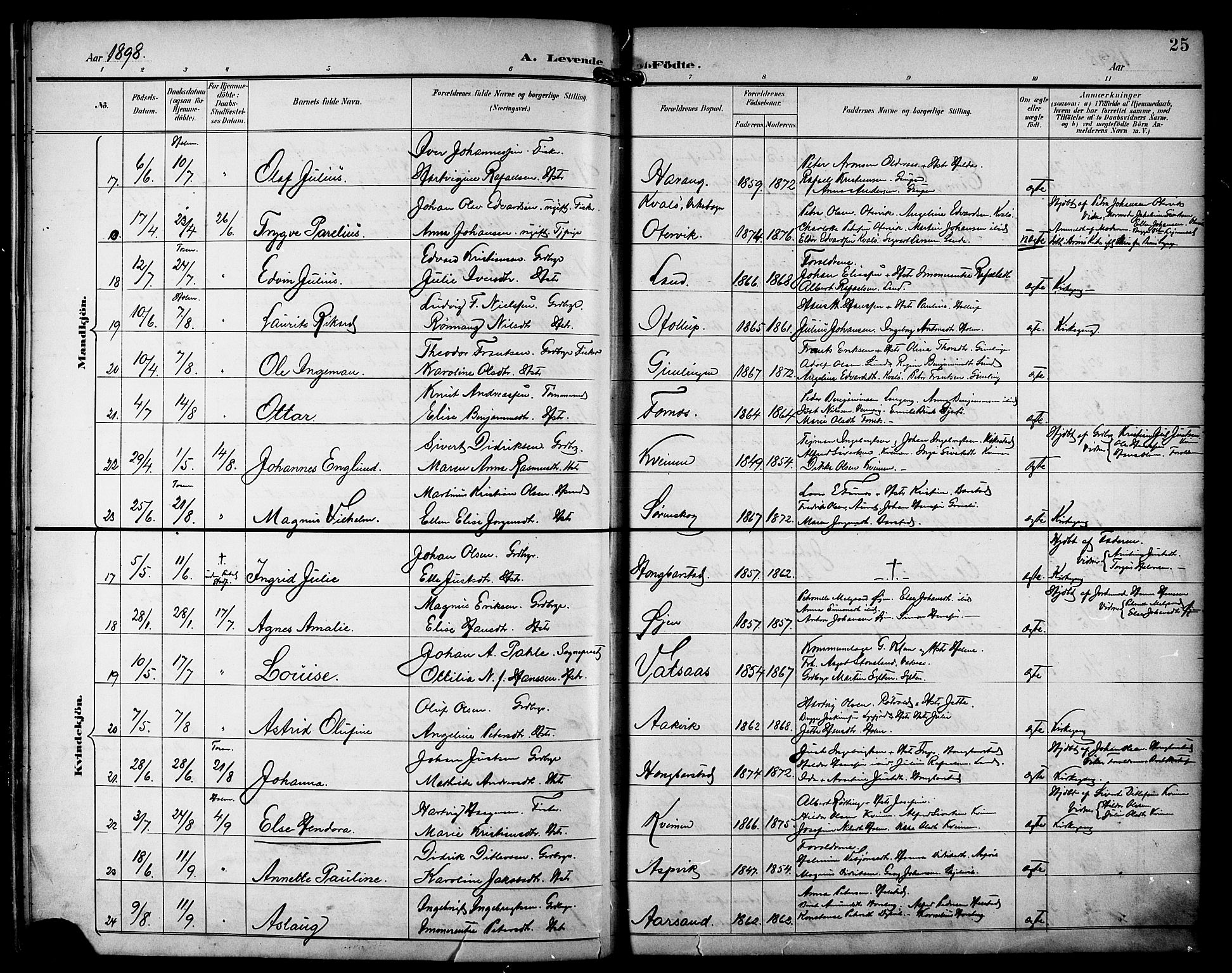 Ministerialprotokoller, klokkerbøker og fødselsregistre - Nordland, AV/SAT-A-1459/810/L0152: Parish register (official) no. 810A11, 1895-1899, p. 25