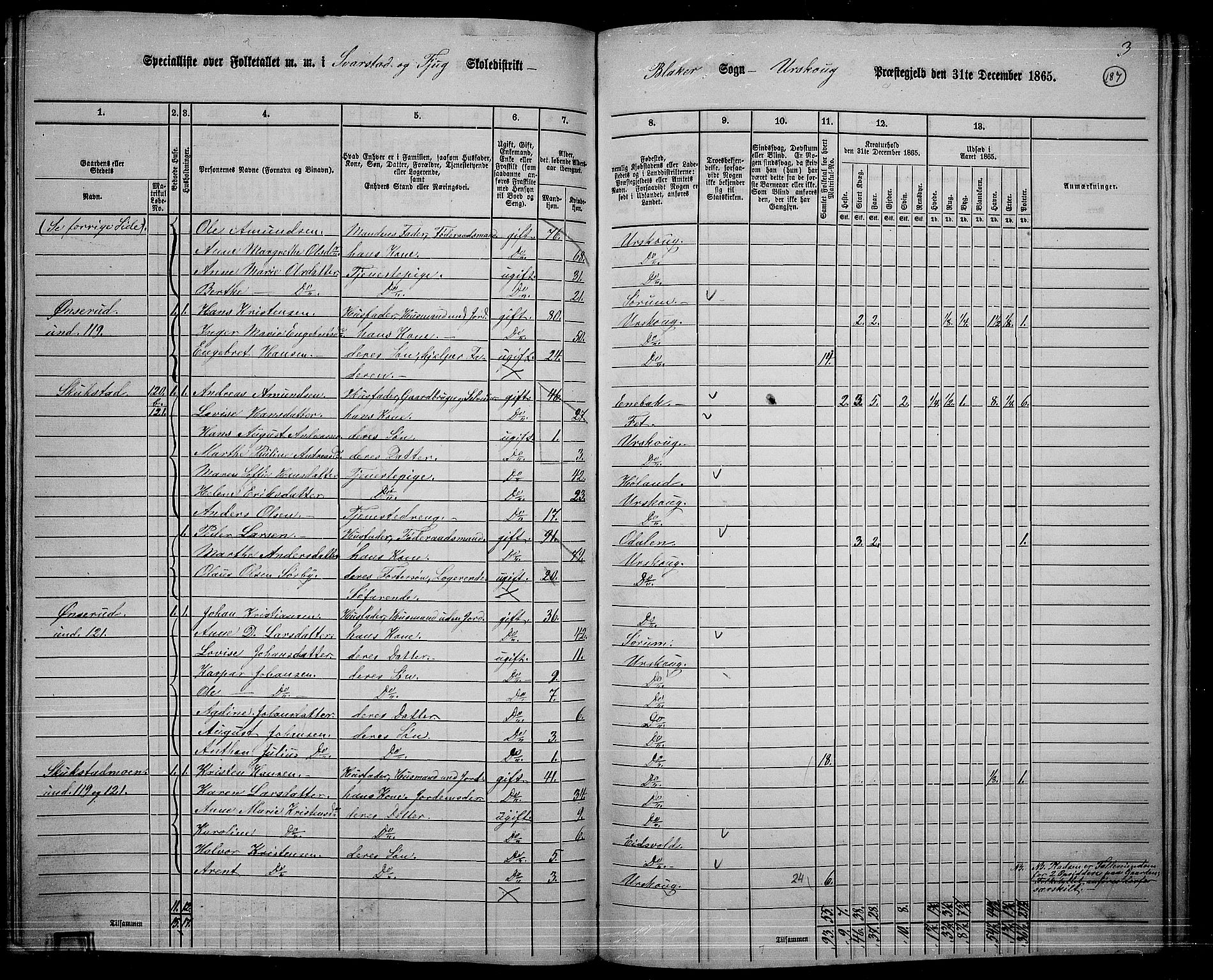 RA, 1865 census for Aurskog, 1865, p. 171