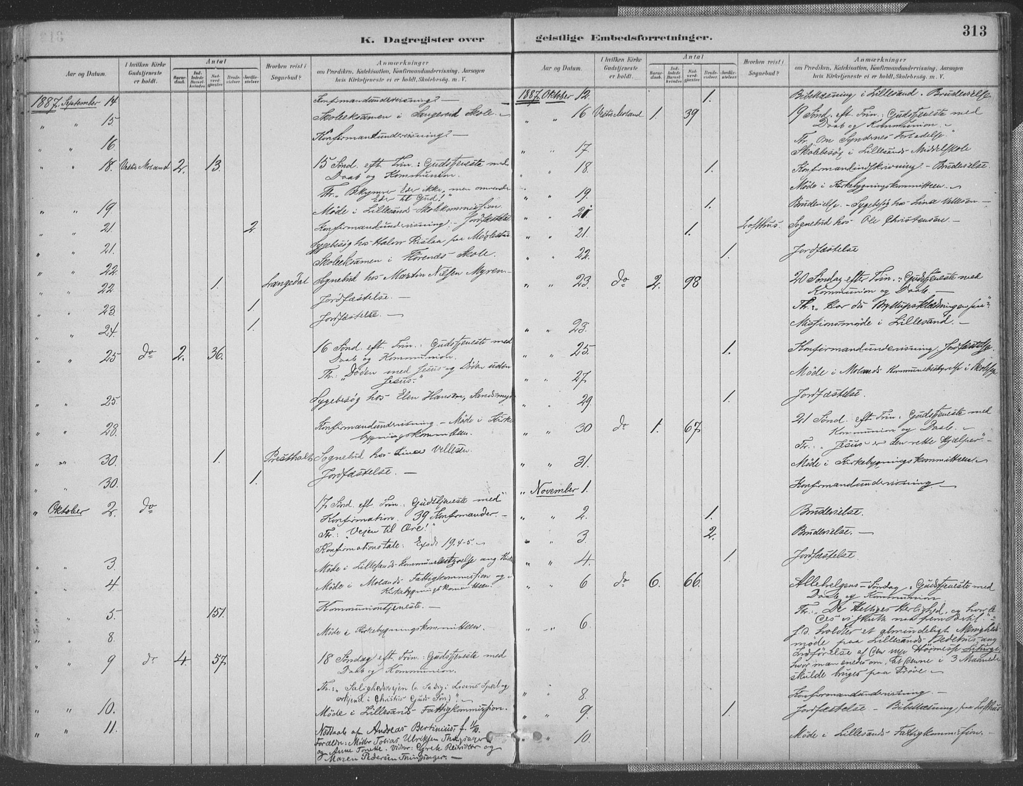 Vestre Moland sokneprestkontor, AV/SAK-1111-0046/F/Fa/Fab/L0009: Parish register (official) no. A 9, 1884-1899, p. 313