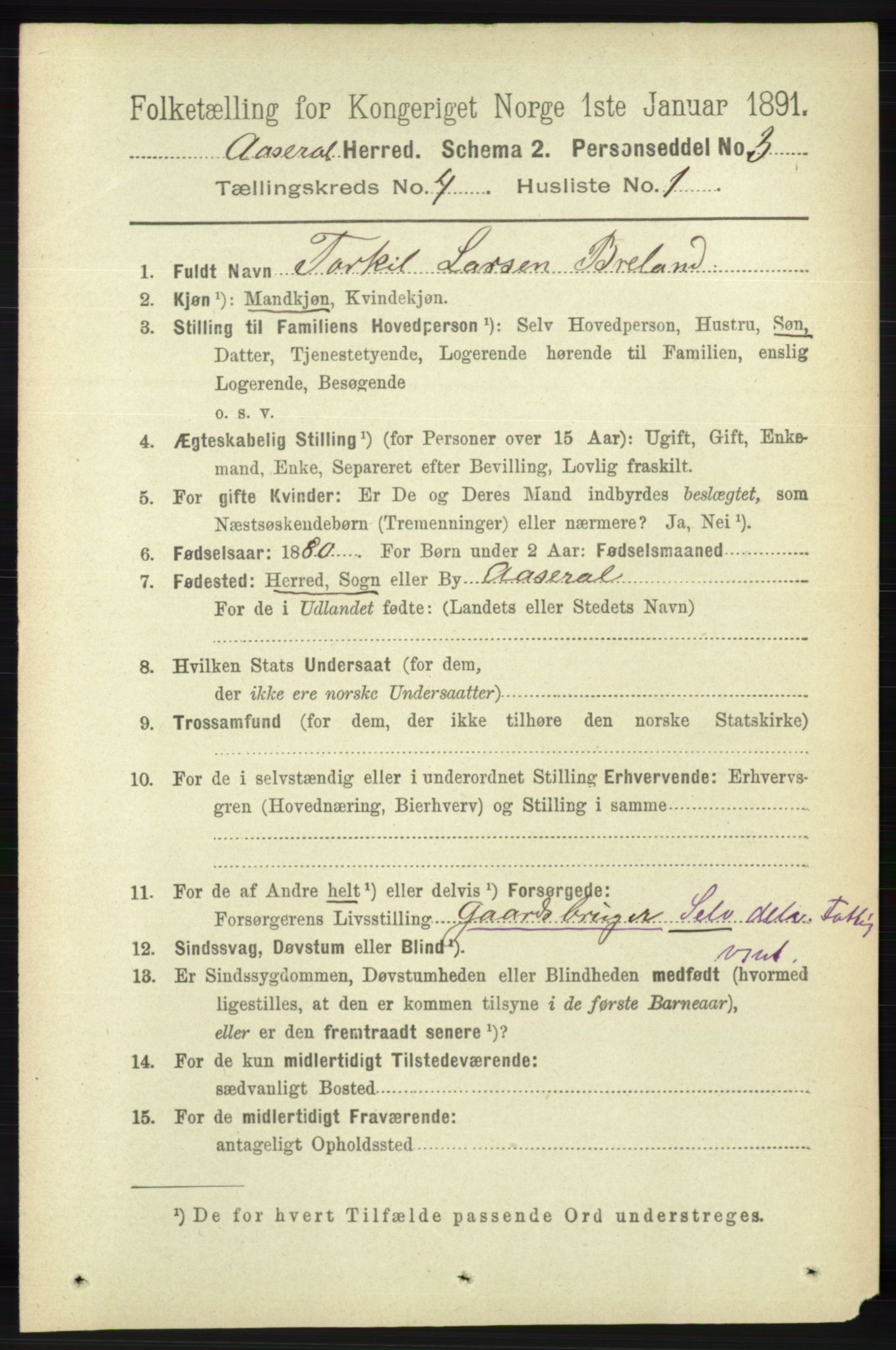 RA, 1891 census for 1026 Åseral, 1891, p. 1167