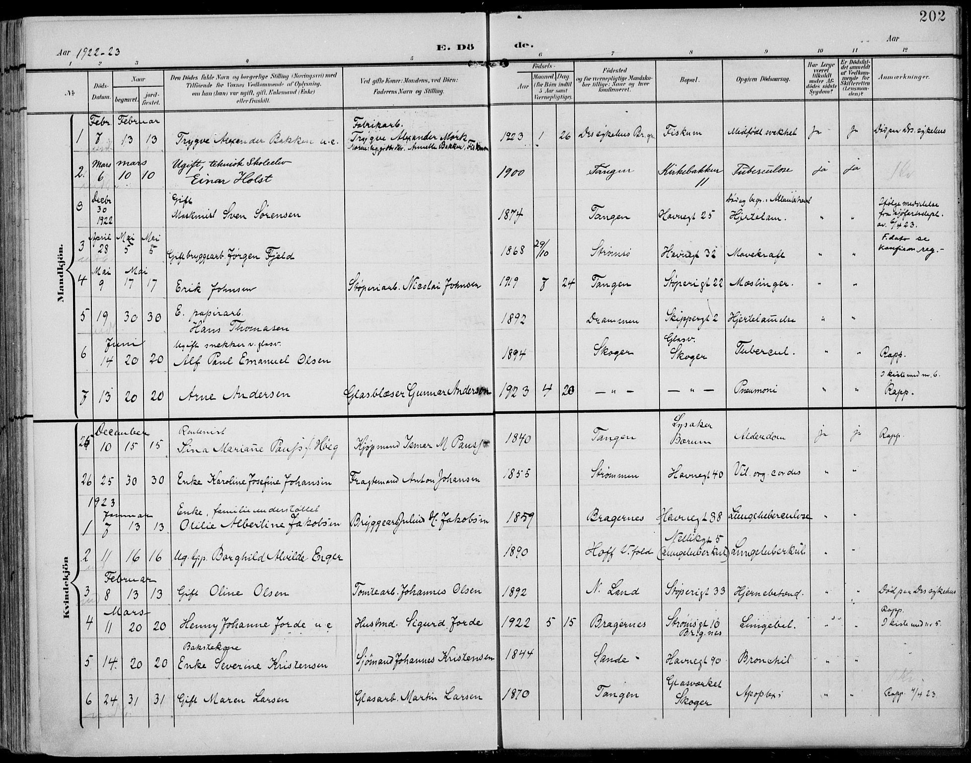 Strømsø kirkebøker, AV/SAKO-A-246/F/Fb/L0008: Parish register (official) no. II 8, 1902-1933, p. 202