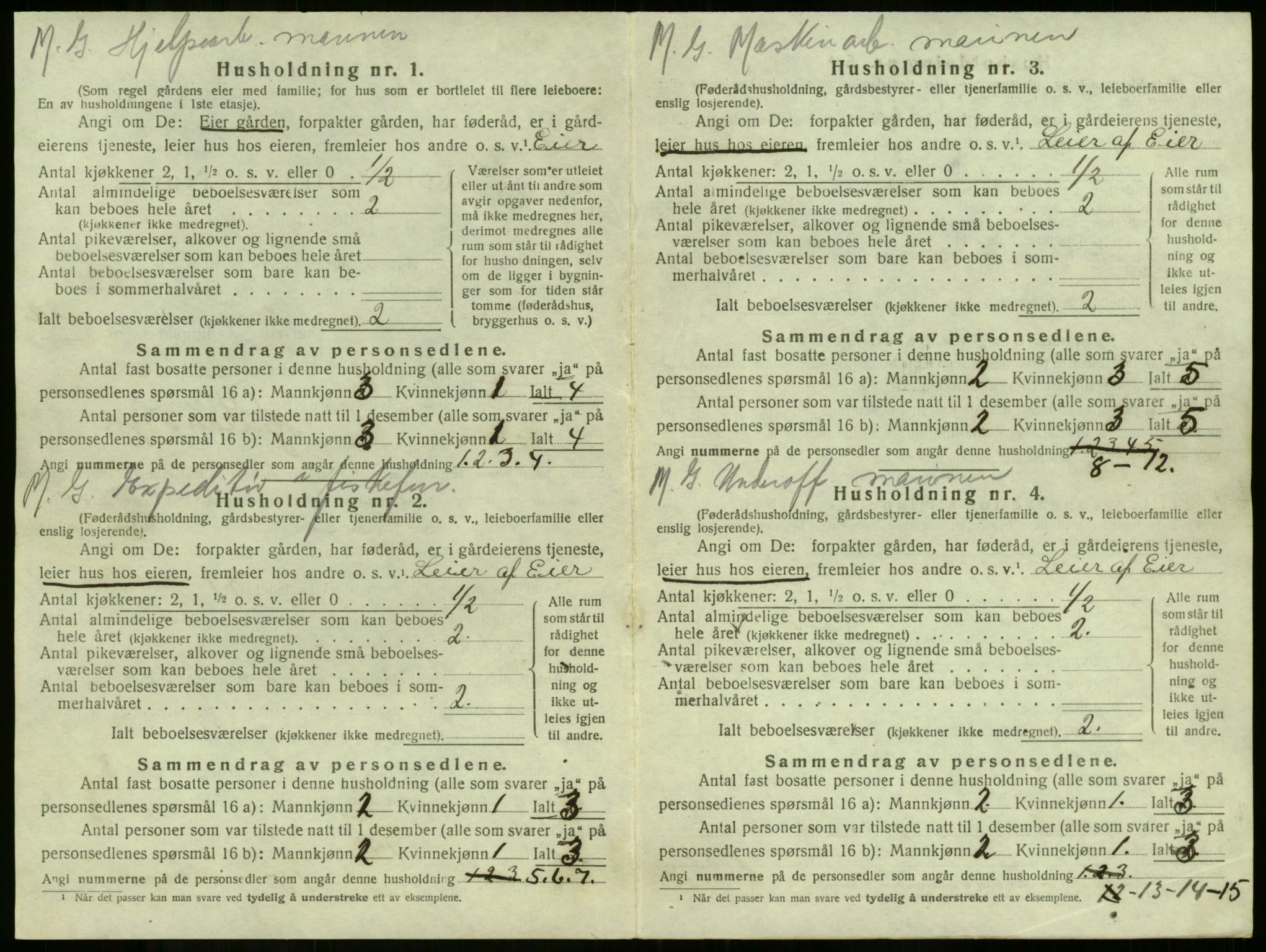 SAKO, 1920 census for Borre, 1920, p. 37
