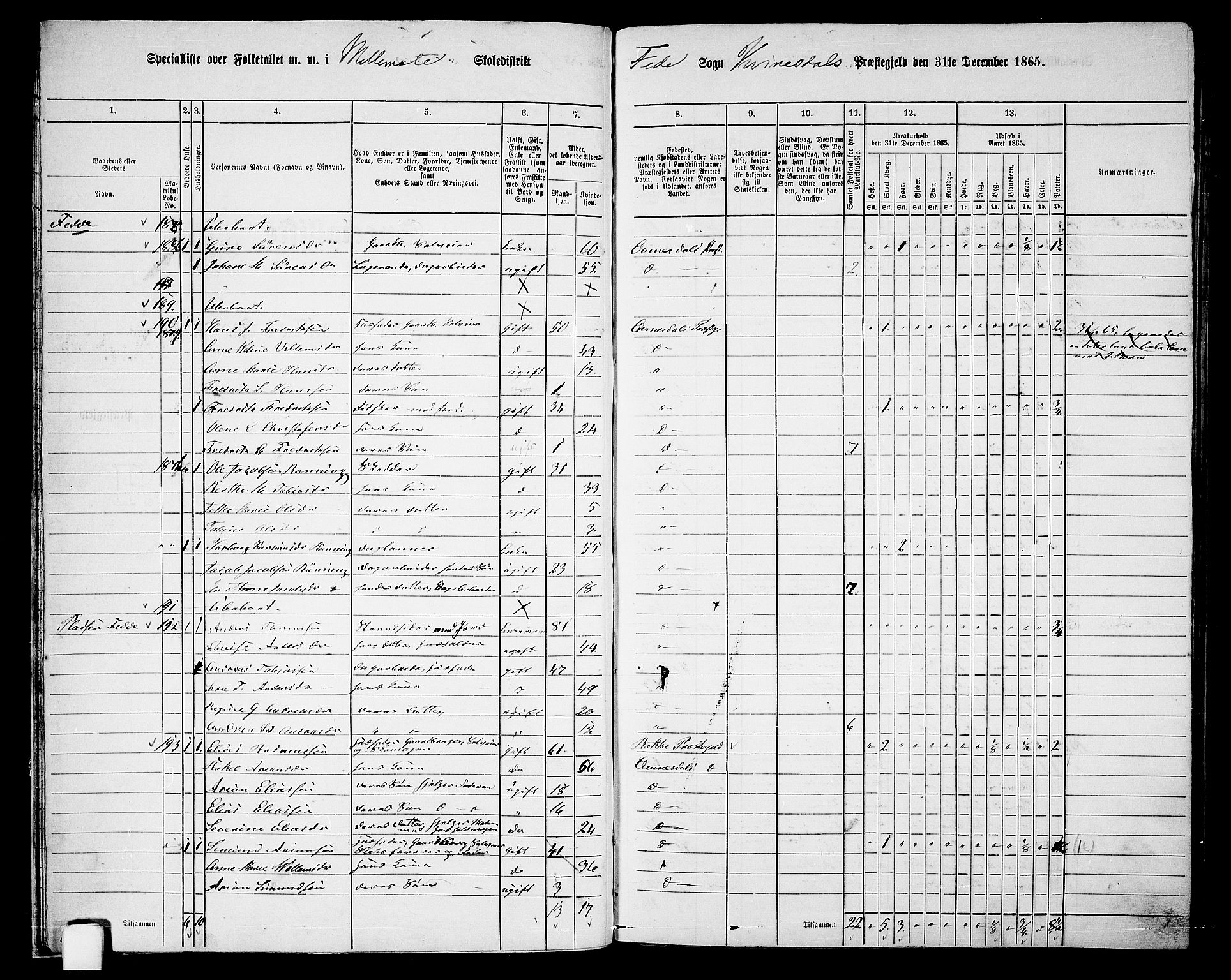 RA, 1865 census for Kvinesdal, 1865, p. 32