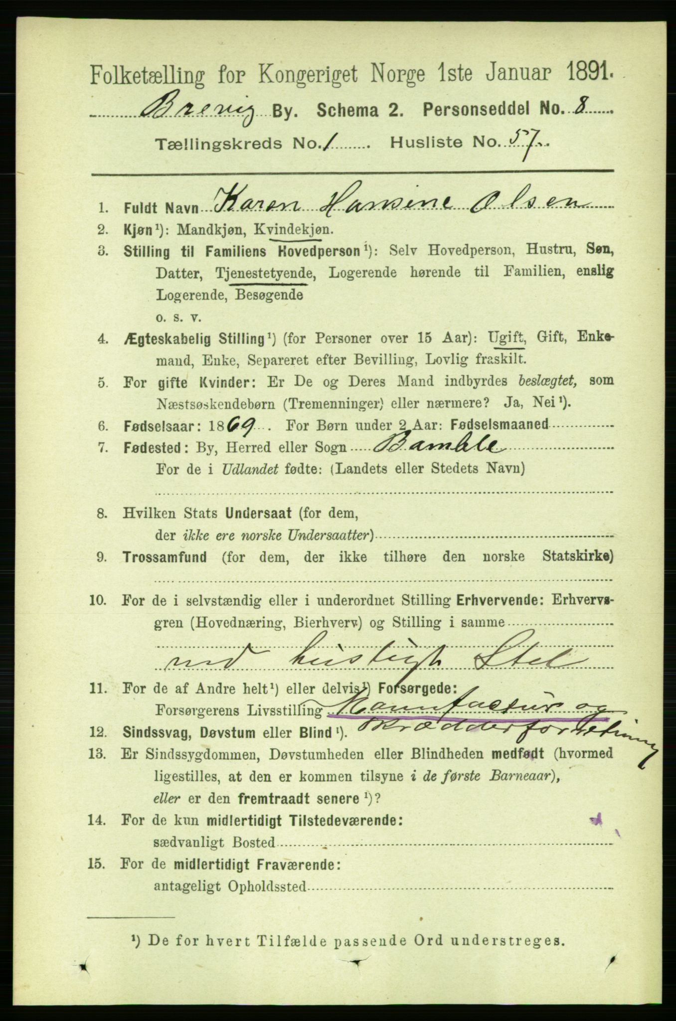 RA, 1891 census for 0804 Brevik, 1891, p. 1176